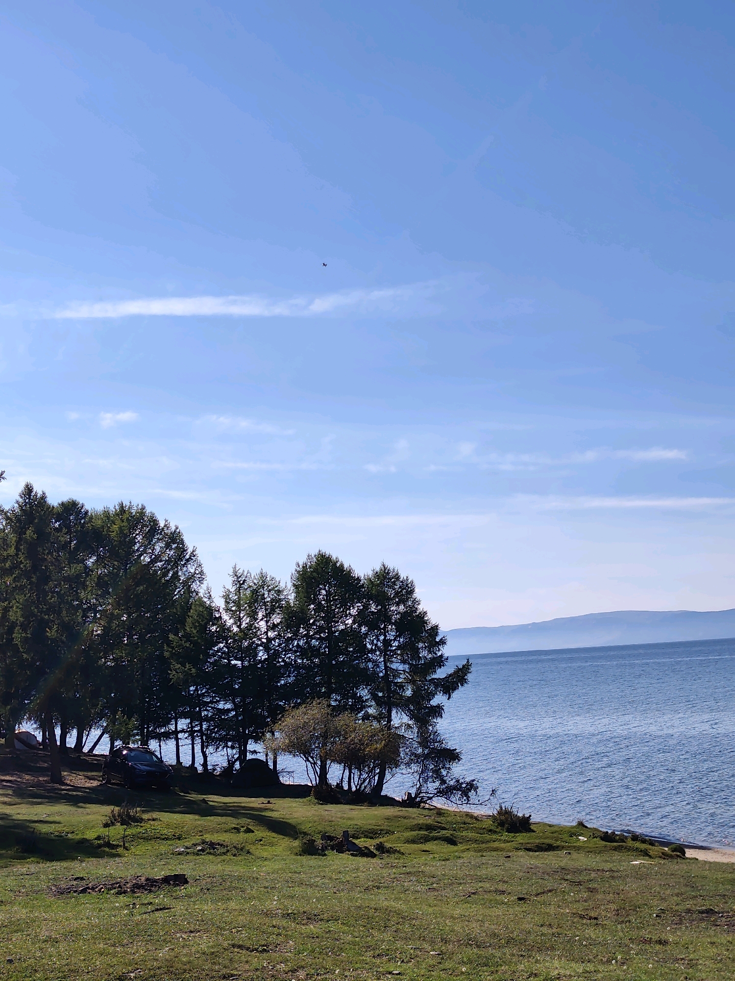 The image captures a scenic view of the Olkhon Island coast near Khuzhir, Russia. In the foreground, a grassy, uneven terrain slopes gently towards the water. Scattered patches of bare earth and a few small plants are visible. A dark-colored SUV is parked on the slightly elevated grassy area to the left, partially obscured by trees. Behind the SUV, a dense cluster of evergreen trees forms a natural boundary. Further to the right, a sparse scattering of trees and bushes line the edge of the water. In the distance, a calm, expansive body of water stretches to the horizon, with a faint, hazy mountain range visible on the far side. The sky is a clear blue with a few wispy white clouds. A tiny dark speck, possibly a bird or a small aircraft, is visible in the upper portion of the sky. The overall impression is one of a serene, natural landscape.