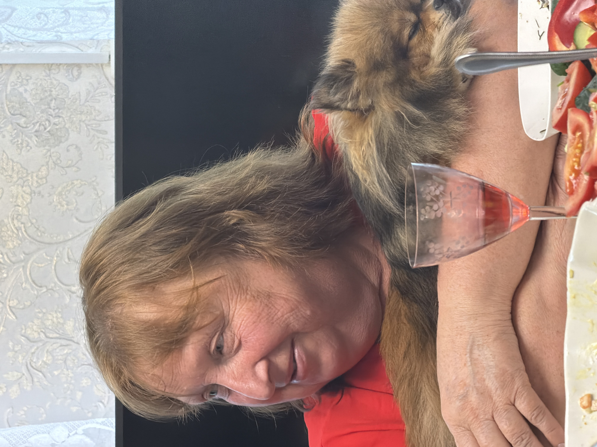 The image shows a medium shot of an older woman with blonde hair and fair skin, wearing a red shirt, holding a small, fluffy brown dog asleep in her arms. The woman is looking to her left, with a slight smile on her face. The dog is nestled against her chest and shoulder, its eyes closed. In the foreground, there is a table with a partially visible plate of salad containing sliced tomatoes and red bell pepper, a wine glass with red liquid, and a spoon. The background features a patterned wallpaper and a dark surface, possibly furniture. The lighting is natural and appears to be from the right side of the frame. The setting is indoors, likely a dining area within a residential dwelling in the city of Bronnitsy, Russia.