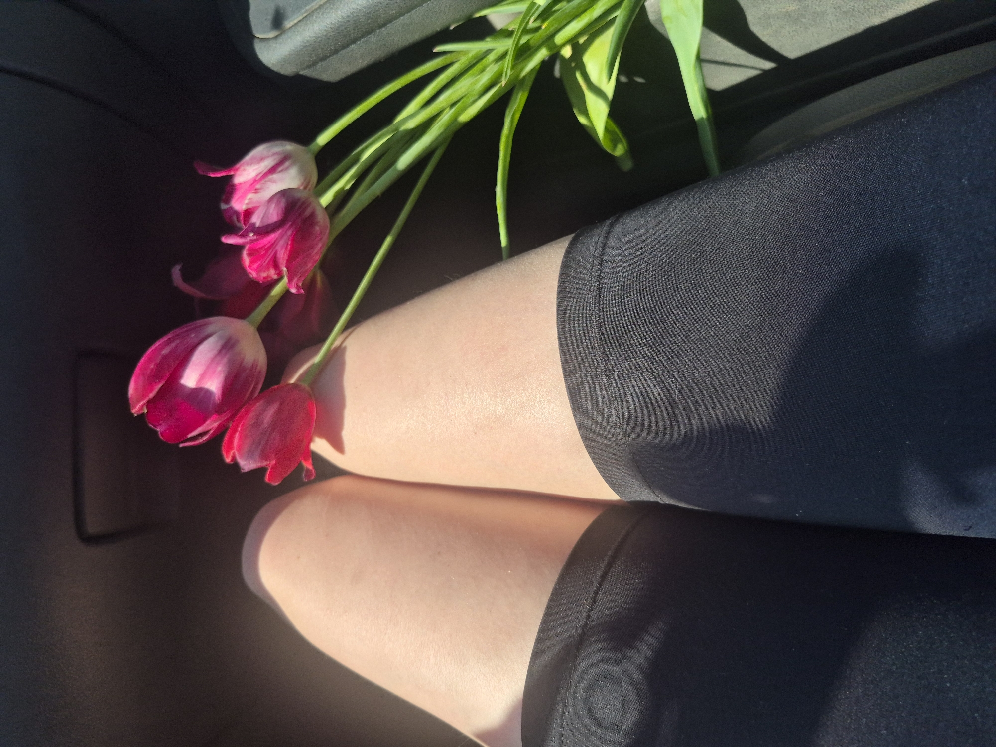 A medium, high-angle shot depicts a person seated indoors, likely in a car, with a bunch of vibrant pink tulips resting on their lap. The person is wearing black athletic shorts, and their fair-skinned thighs are visible. The sunlight casts strong shadows and highlights on their legs and the tulips. The tulips have green stems and leaves, and some of the petals appear to have white accents. The background consists of the interior of the car, appearing dark and out of focus. No specific location in the city of Unknown, Unknown, can be determined from this image.