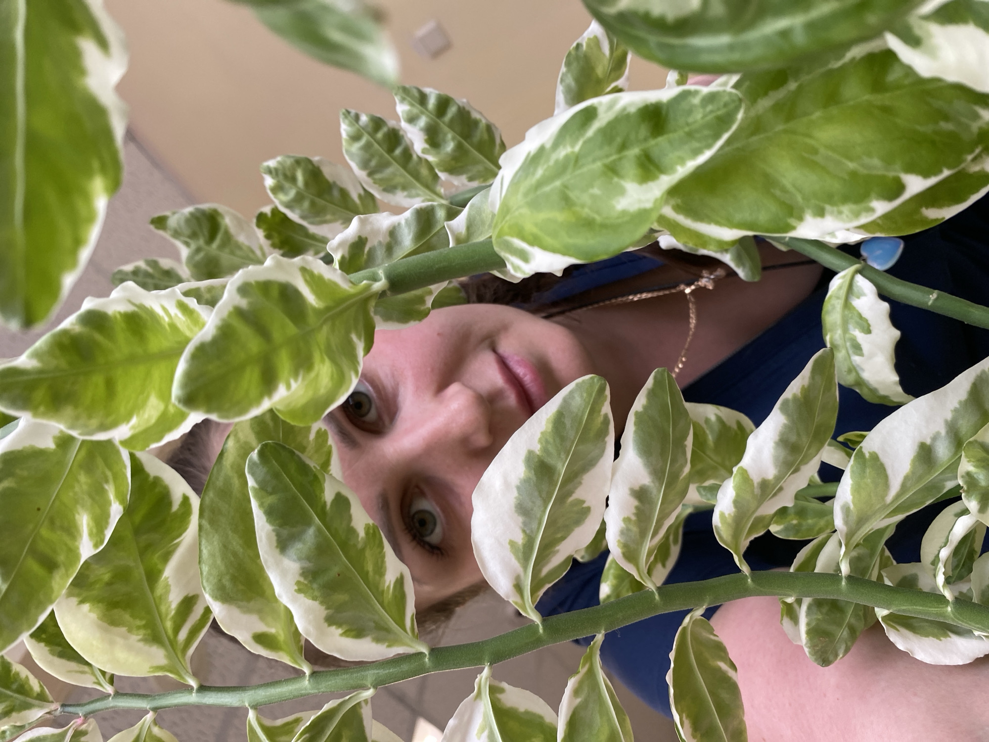 The image shows a woman looking up at the camera through a plant with green and white variegated leaves. The woman has fair skin, green eyes, and is wearing a blue top and a gold necklace. The plant is in the foreground, partially obscuring her face. The background is a plain, light-colored wall or ceiling. The location and time are not discernible from the image.
