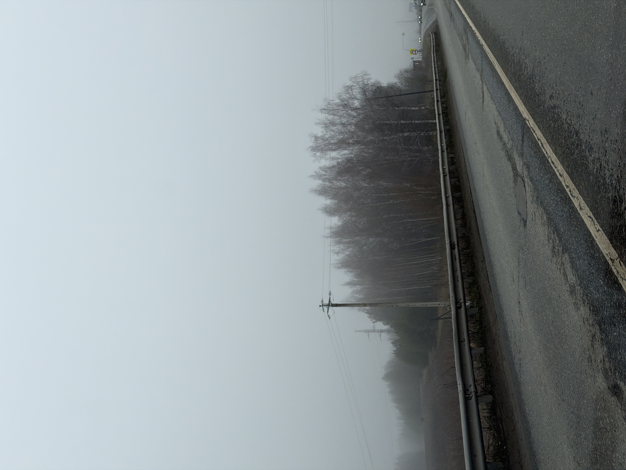 The image shows a foggy, overcast day in what is likely Bolgury, Russia, as specified. A gray asphalt road with a painted white line marking the edge runs along the right side of the frame. A metal guardrail separates the road from a line of bare trees, likely birch, that fade into the fog. Power lines are visible extending into the distance. A utility pole stands near the trees, partially obscured by fog. The overall scene conveys a sense of bleakness and isolation.