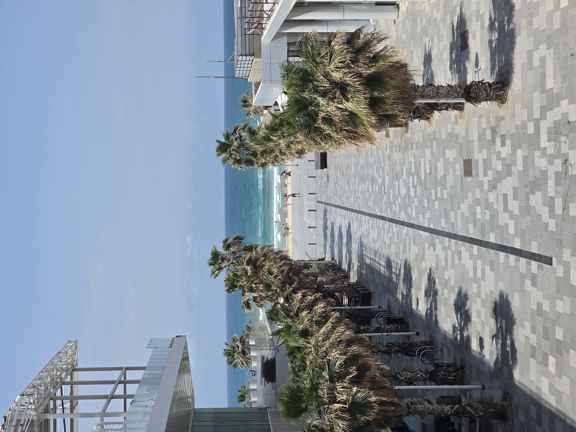 The image captures a seaside scene in Bat Yam, Israel, viewed from an elevated perspective. A row of palm trees lines a paved walkway that runs parallel to the beach. People are seen strolling and relaxing on the sandy beach in the distance, with the Mediterranean Sea extending to the horizon. Modern buildings with glass and steel structures are visible on either side of the walkway. The sky is clear and blue, suggesting a sunny day. Shadows cast by the palm trees fall onto the gray-patterned walkway. Benches and bicycle racks are interspersed along the walkway beneath the trees.