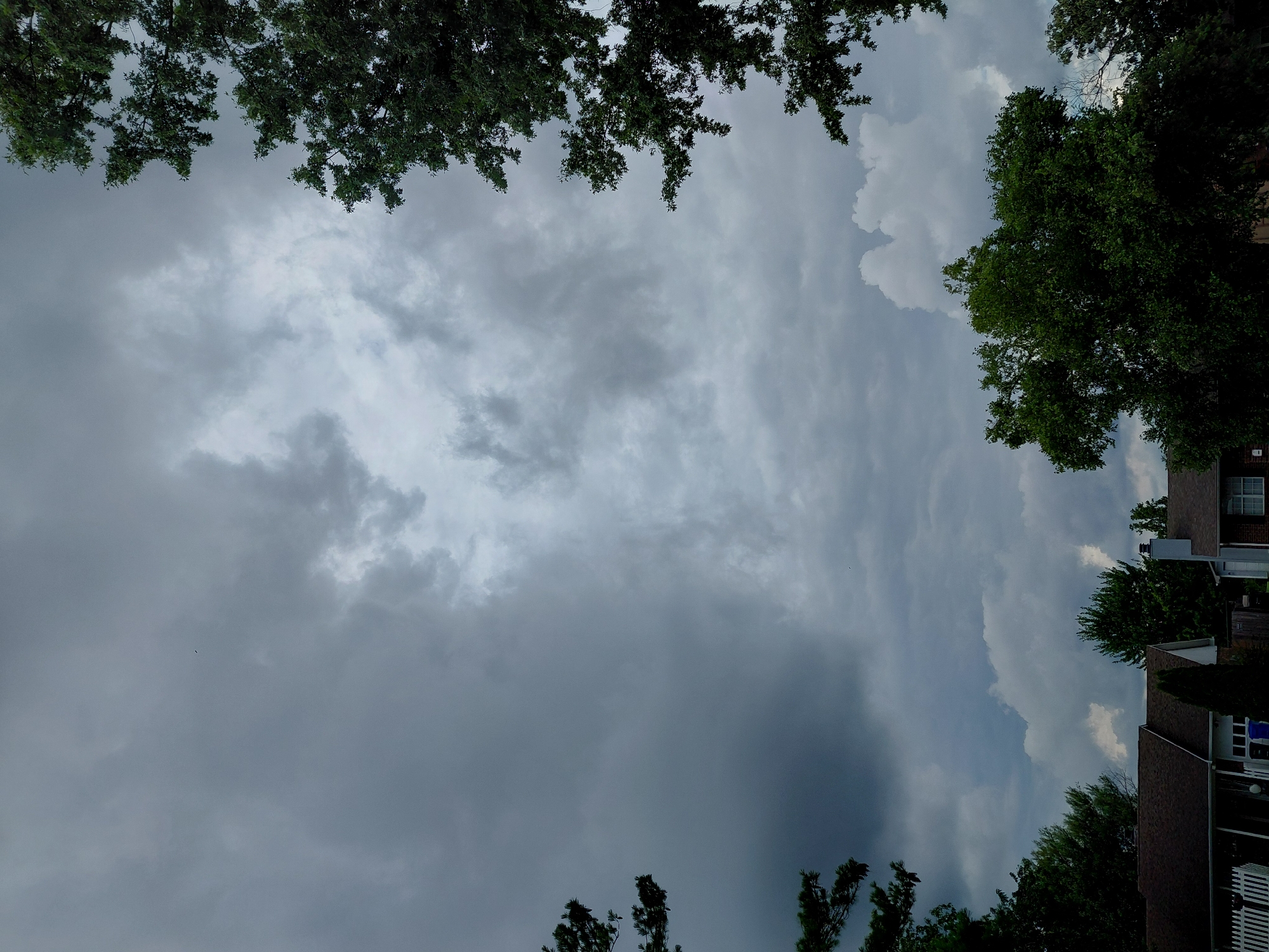A slightly overcast day is captured from a low-angle perspective, looking up towards the sky. The sky is filled with a variety of clouds, ranging from dark, heavy storm clouds on the left side of the frame to lighter, fluffy cumulus clouds on the right. A few trees with green foliage frame the scene from the top and sides, with their branches reaching into the sky. Below the sky, the tops of houses are visible, with dark roofs and some visible windows and chimneys. The houses appear to be part of a suburban neighborhood. There are no people visible in the image. The location is the city of Lexington, United States of America.