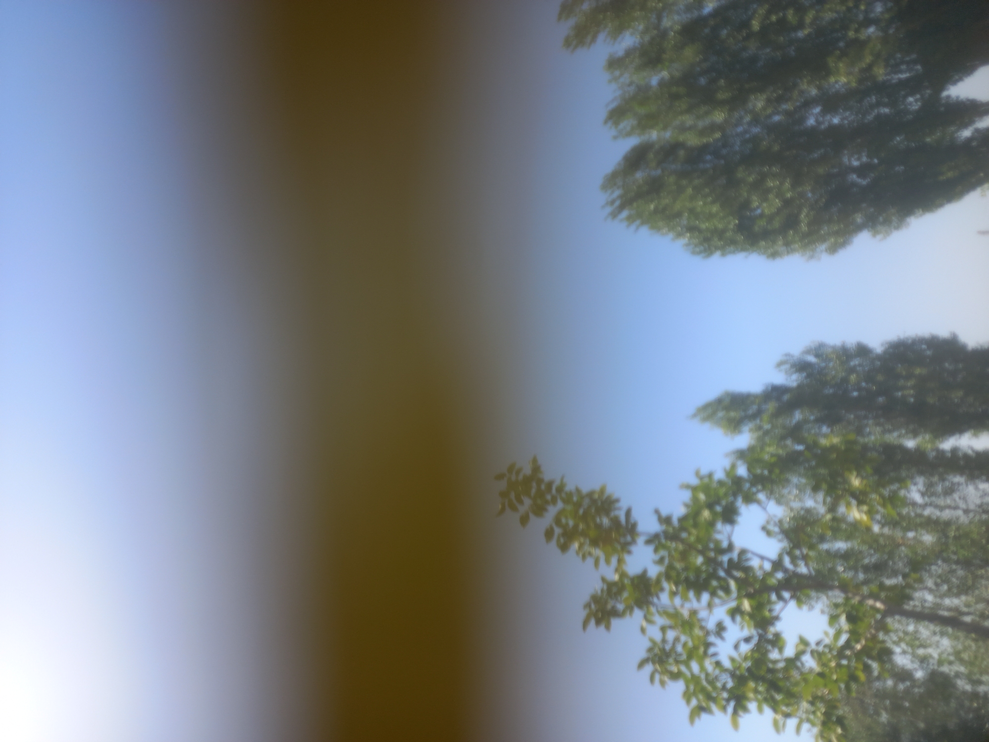 The image depicts a clear blue sky above a line of trees, likely in the city of Bulungur, Uzbekistan. The trees, primarily deciduous with green foliage, vary in height and density, forming a natural boundary against the sky. The perspective is from below, looking upwards towards the canopy of the trees. The overall impression is one of an outdoor, natural setting within an urban or semi-urban environment.