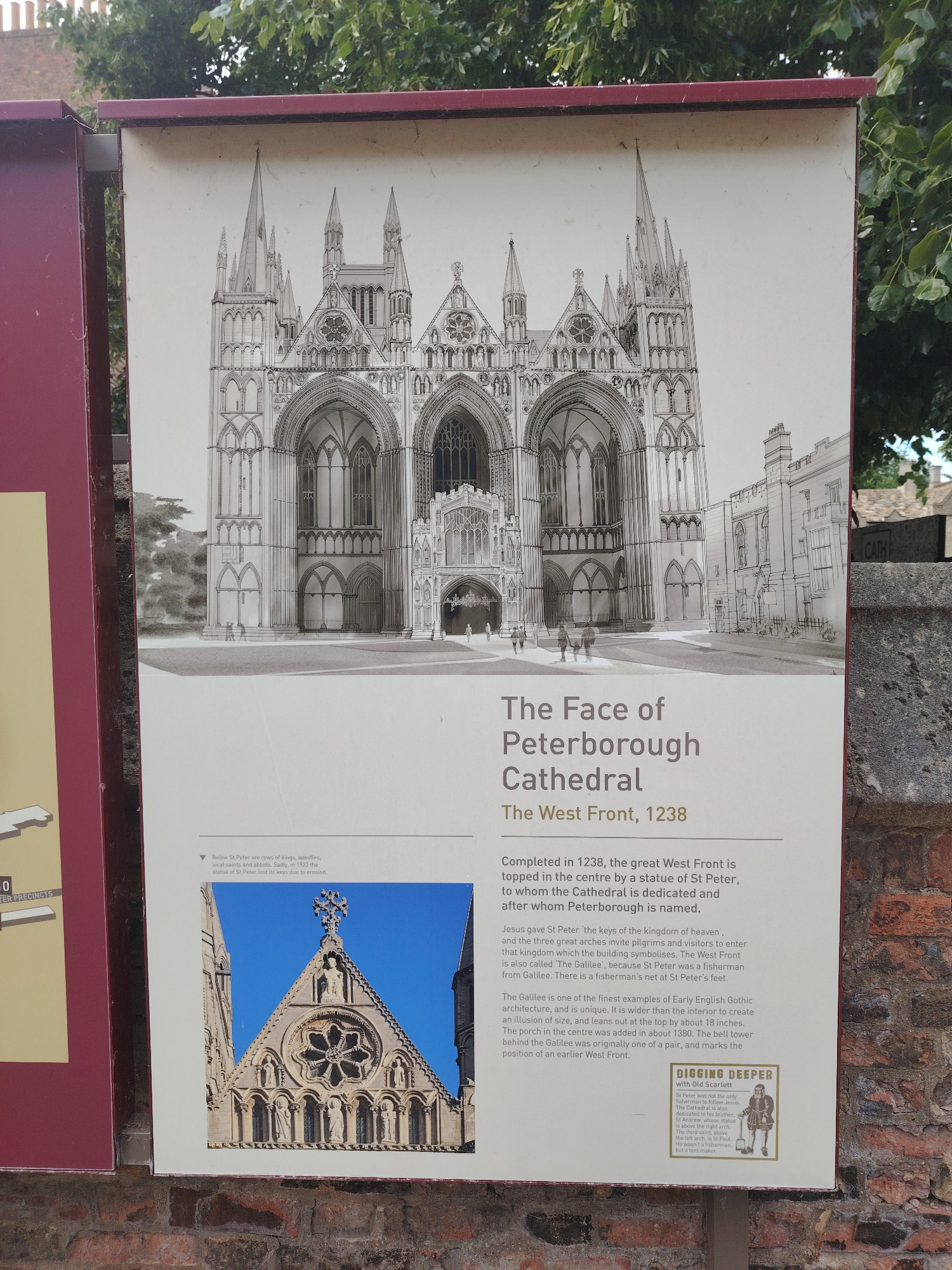 An outdoor informational sign, vertically oriented and enclosed within a reddish-brown metal frame, is centrally displayed on a low, weathered brick wall. The sign, predominantly white, features a large-scale architectural drawing of "The Face of Peterborough Cathedral - The West Front, 1238" dominating its upper section. This detailed monochromatic illustration depicts the ornate Gothic facade of the cathedral with three prominent arched entrances, intricate carvings, spires, and small figures of people near the base, along with a schematic representation of surrounding buildings to the right.
Below the main illustration, the title "The Face of Peterborough Cathedral - The West Front, 1238" is presented in dark grey text. Accompanying text provides historical and architectural details, stating the West Front was completed in 1238, dedicated to St. Peter, and is also known as 'The Galilee'. It describes the architectural illusion of size, the addition of a central porch around 1380, and mentions that the statue of St. Peter lost its keys due to erosion by 1923. A smaller, full-color photograph on the lower left of the sign shows a close-up of the cathedral's central facade, featuring a rose window, statuary, and intricate stone work under a bright blue sky. To the lower right, a "DIGGING DEEPER" section with an illustration of "Old Scarlett" offers additional historical context.
The sign is positioned outdoors in the city of Peterborough, United Kingdom, presumably within the vicinity of Peterborough Cathedral. Behind the sign, mature green foliage is visible, indicating trees or bushes. To the far right, a partial stone structure and a weathered stone block with the letters "CATH" are discernible, likely referencing the Cathedral. The scene is illuminated by natural daylight.