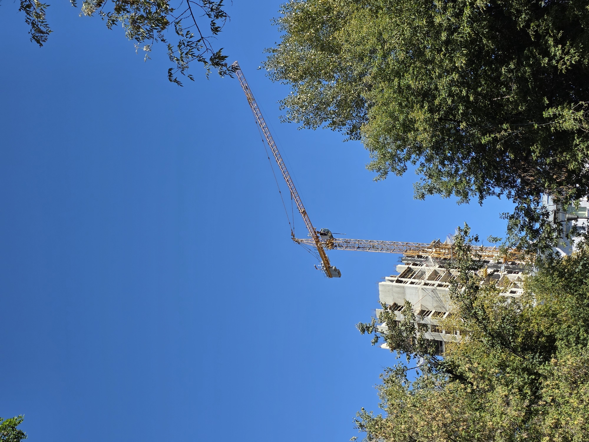 An outdoor, low-angle, full shot captures a yellow construction crane extending diagonally across a bright blue sky. The crane is positioned over a partially constructed, multi-story concrete building with visible scaffolding and exposed floors. Dense green trees with some yellowing leaves frame the bottom and right sides of the image, partially obscuring the building and the crane. The lighting suggests it is daytime with clear weather.