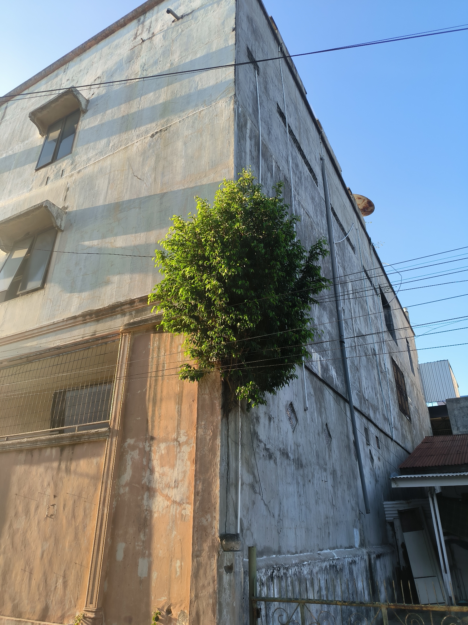 A low-angle, outdoor shot of a weathered, multi-story building in Lhokseumawe, Indonesia. The structure is primarily gray and pale orange, showing signs of age and wear. A green tree grows at the corner where the two walls meet, obscuring part of the building's surface. The building has multiple rectangular windows, some with awnings or bars. Utility wires crisscross the sky above the building. A partially visible adjacent structure with a corrugated roof is present on the right side of the frame. The sky is a clear blue. A wrought-iron fence is visible at the bottom of the frame.