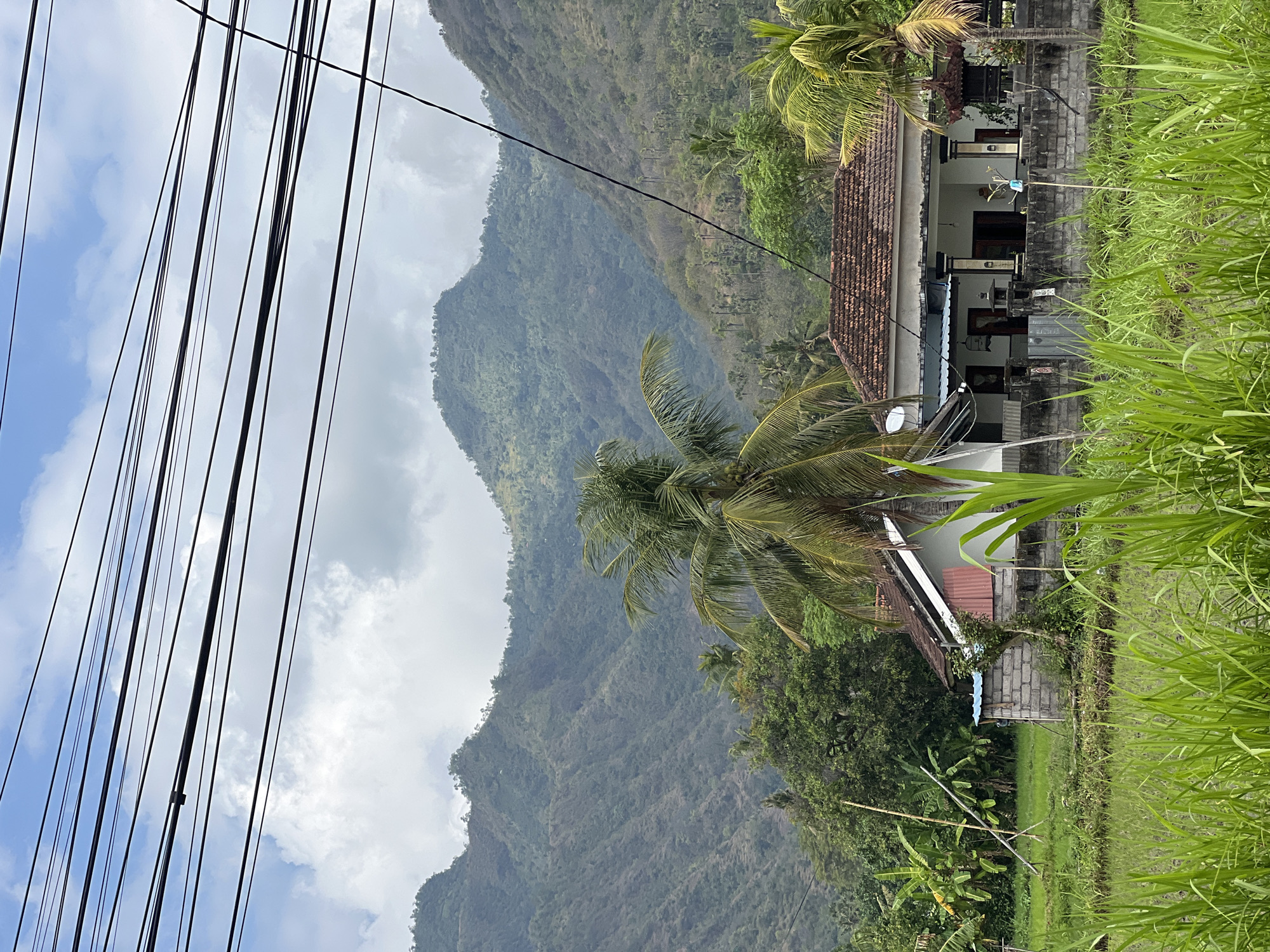 The image depicts a rural scene in Abang, Indonesia, featuring a house and its surroundings. In the foreground, lush green grass and reeds are prominent, suggesting a cultivated area like a rice paddy. Behind this, a single-story house with a tiled roof is visible, partially obscured by a large palm tree. The house has a white facade with dark pillars supporting an overhang. A low, stone wall separates the house from the grassy area. To the left of the house, there are banana trees and a bamboo structure. In the background, rolling, green hills and mountains dominate the landscape under a cloudy sky. A network of overhead electrical wires stretches across the top of the frame, intersecting the view of the mountains and sky.