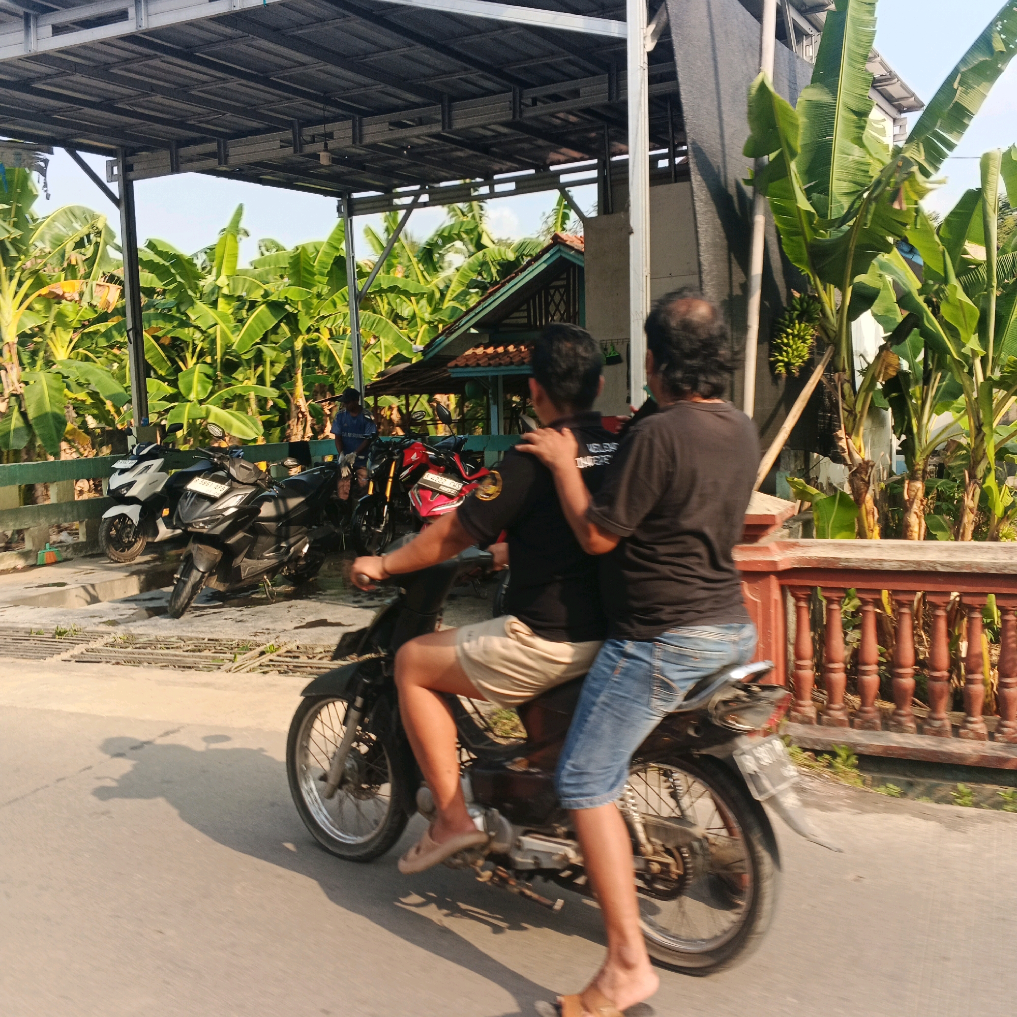 The image depicts a sunny daytime scene in Karangjengkol, Indonesia, with lush banana trees dominating the background. In the foreground, two individuals are riding on a motorcycle. The person in front, wearing a black t-shirt and light-colored shorts, is driving. The person behind, wearing a black t-shirt and blue jeans, has their arm around the driver's shoulders. The motorcycle is black and gray, with visible spoked wheels. To the left, a row of parked motorcycles, including white and black models, are visible under a covered structure. A red motorcycle is also parked in the area. A wooden fence with red posts lines the right side of the image. The ground is paved and appears to be a road. The overall impression is a typical rural or semi-urban setting in Indonesia.