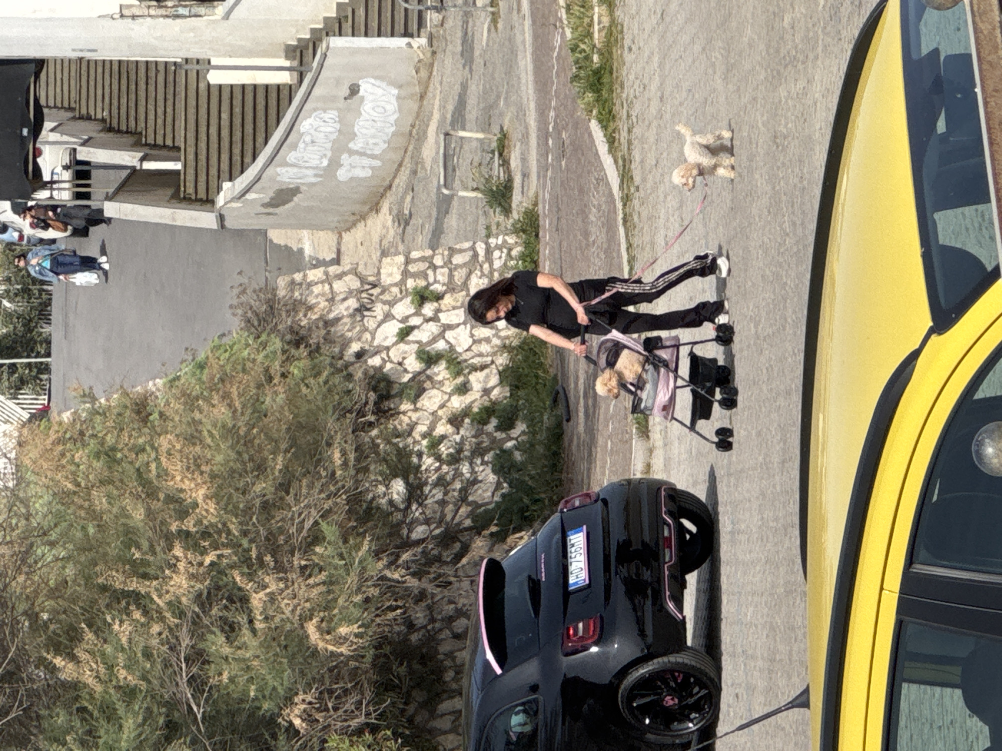 The image depicts an outdoor scene in Nettuno, Italy. A woman with long, dark hair is pushing a stroller, and walking a small dog on a leash. Parked nearby are a black car and part of a yellow car. The environment includes a stone wall, vegetation, and steps leading up to a building. Other people are visible in the background.