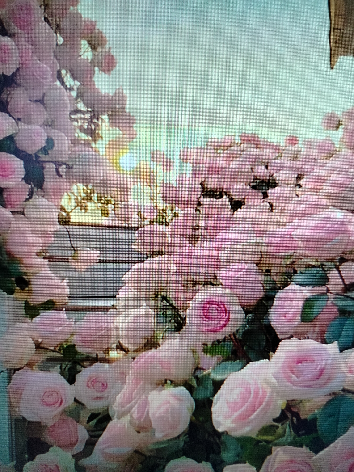 A close-up, eye-level, outdoor shot features a dense cluster of light pink roses, some in full bloom and others as buds, cascading down a light-colored, horizontal surface that appears to be a set of stairs. The roses are lush and abundant, with some greenery visible. Sunlight streams from the upper right quadrant of the image, creating a soft, hazy glow and illuminating the petals. The background is a pale, gradient sky. The overall impression is one of romantic abundance, bathed in natural light. This scene is located in Yashkino, Russia.