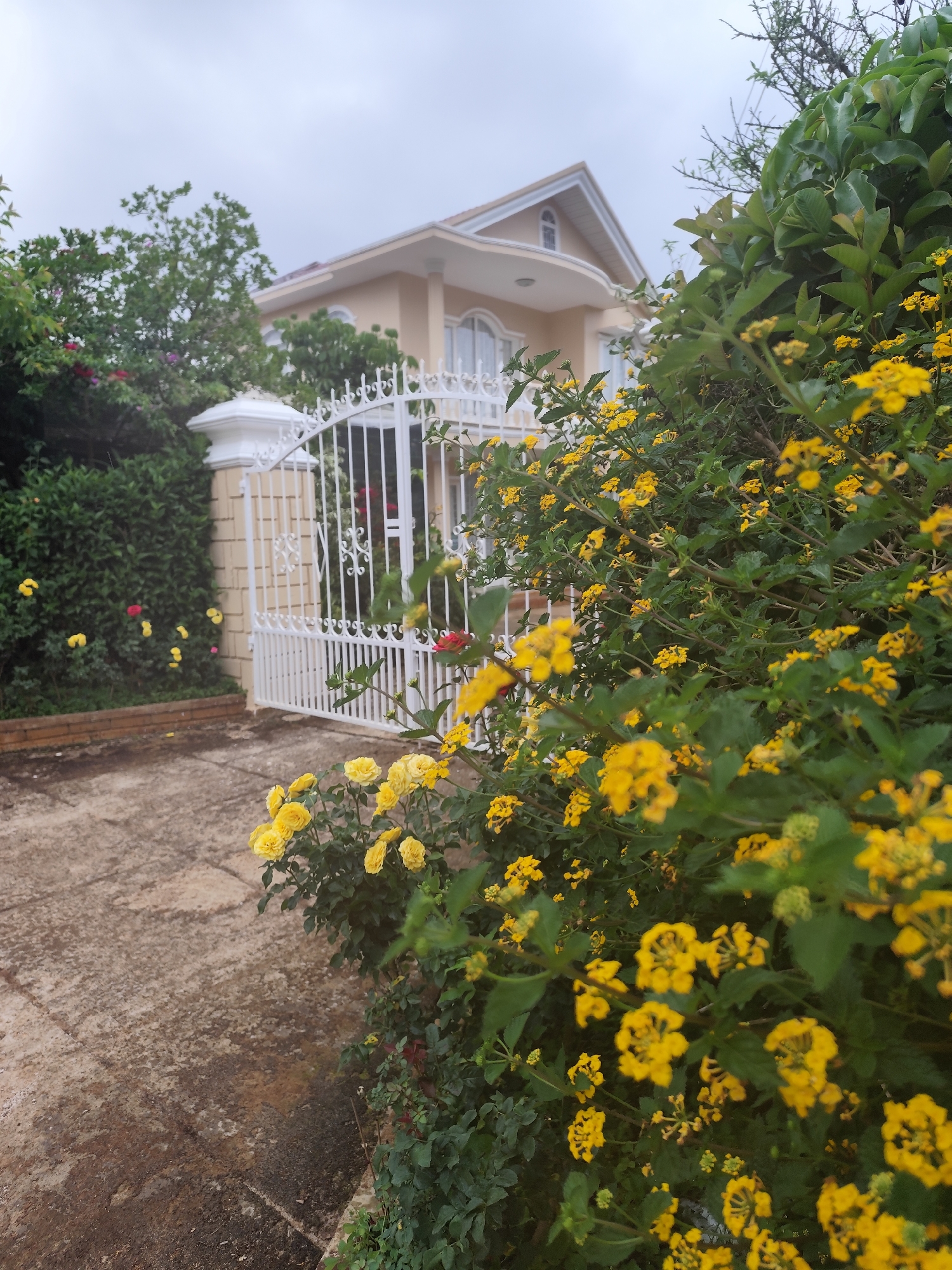 The image shows a house in Da Lat, Vietnam, partially obscured by vegetation. A white gate stands at the entrance, adjacent to a low wall and hedge. Yellow and red flowers are growing in the foreground. The sky is overcast.