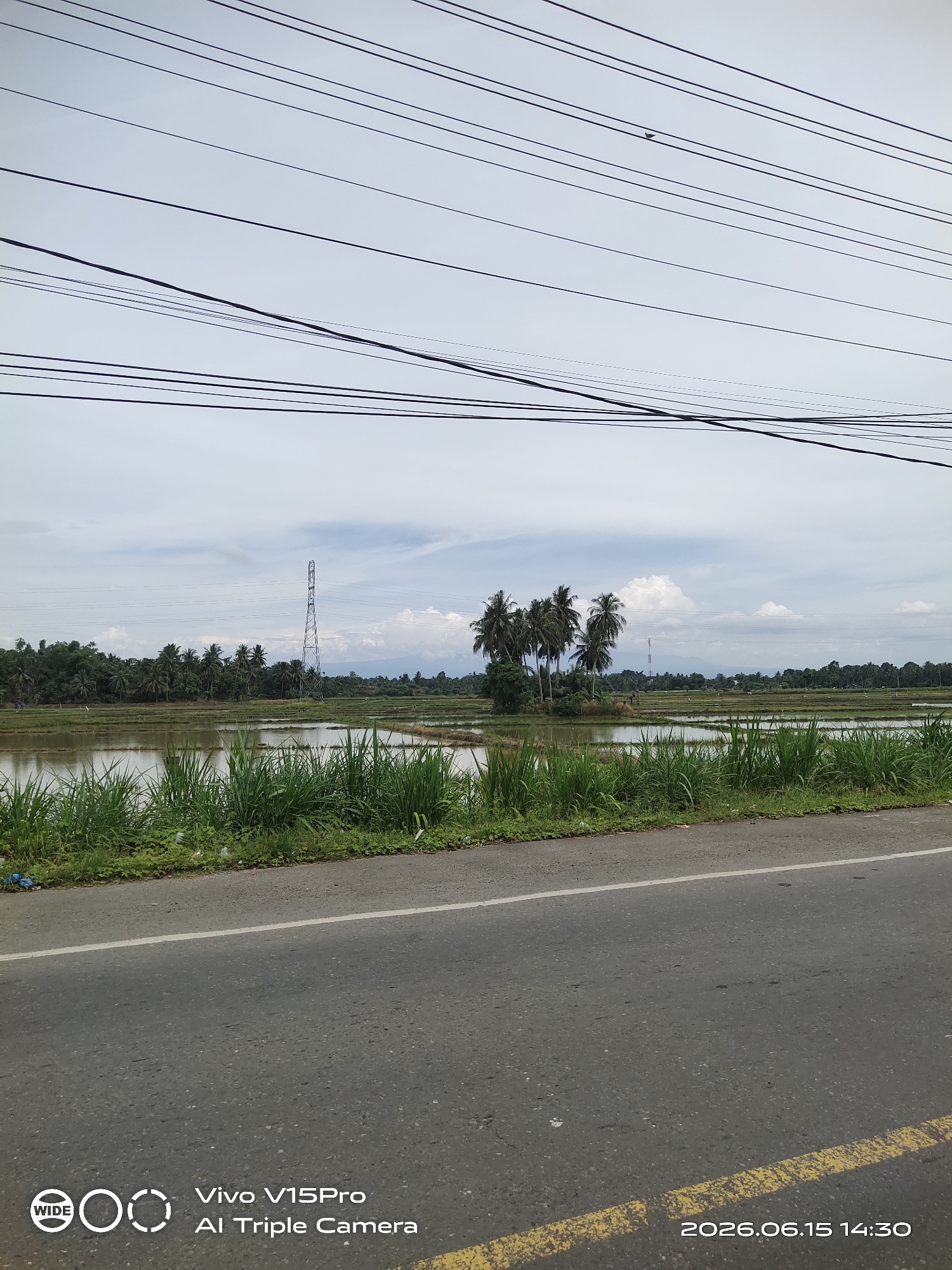The image is an exterior, eye-level, wide-angle shot of a rural landscape in Cotpuuk, Indonesia. The foreground shows an asphalt road with a yellow line marking the edge of the lane. Beyond the road, there is a grassy embankment. The middle ground features flooded rice paddies, with patches of green grass growing along the edges. A cluster of palm trees stands on a small elevated area within the paddies. In the background, a tall, lattice-like transmission tower rises above a line of trees and vegetation. The sky is overcast with scattered clouds. The overall scene depicts a typical agricultural environment.