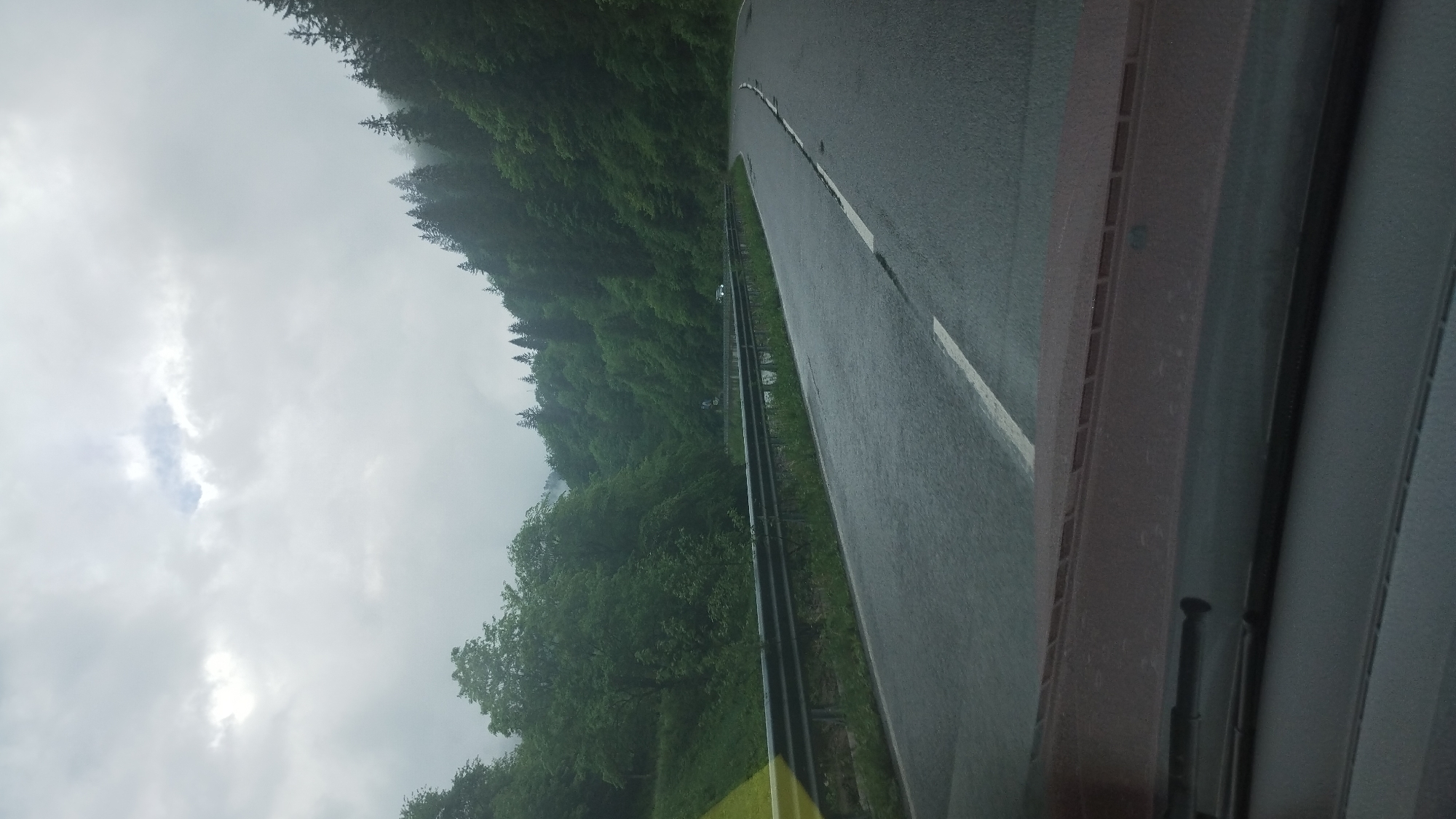 The image depicts a road winding through a forested area under a cloudy sky. The road is paved and has a white dividing line. A metal guardrail runs along the side of the road. The view appears to be from inside a vehicle, with a portion of the dashboard visible. The location is suggested to be near Yasinya, Ukraine, based on the presence of mountainous forests characteristic of that region.