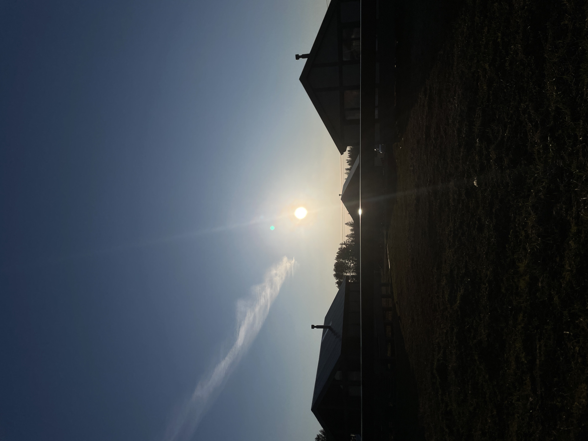 The original image is rotated 90 degrees clockwise, depicting a tranquil rural landscape at either sunrise or sunset in Sovetsko-Nikol'skoe Lesnichestvo, Russia. The photograph is taken facing directly into the sun, which appears as a bright, circular disc low in the sky, causing significant lens flare that streaks across the scene.
The upper portion of the frame is dominated by a clear sky, transitioning from a deep blue at the very top to a lighter, yellowish-blue gradient around the sun. A prominent, long, and narrow white contrail or wispy cirrus cloud stretches diagonally across the sky from the lower left toward the sun.
In the lower part of the image, the landscape elements are silhouetted against the brighter sky. Two dark-colored houses or cabins are visible, featuring pitched roofs and chimneys. The house in the foreground, positioned towards the right, shows faint architectural details such as window frames and trim, despite being heavily shadowed. Behind the houses, a dense line of trees or a forest forms a dark silhouette along the horizon. The immediate foreground consists of heavily shadowed, dark ground cover, likely grass or low vegetation, appearing almost black and textured.
No people are visible, and no specific activity is taking place. The clear sky and the low sun suggest fair weather conditions, evoking a peaceful atmosphere. There is no visible text in the image.