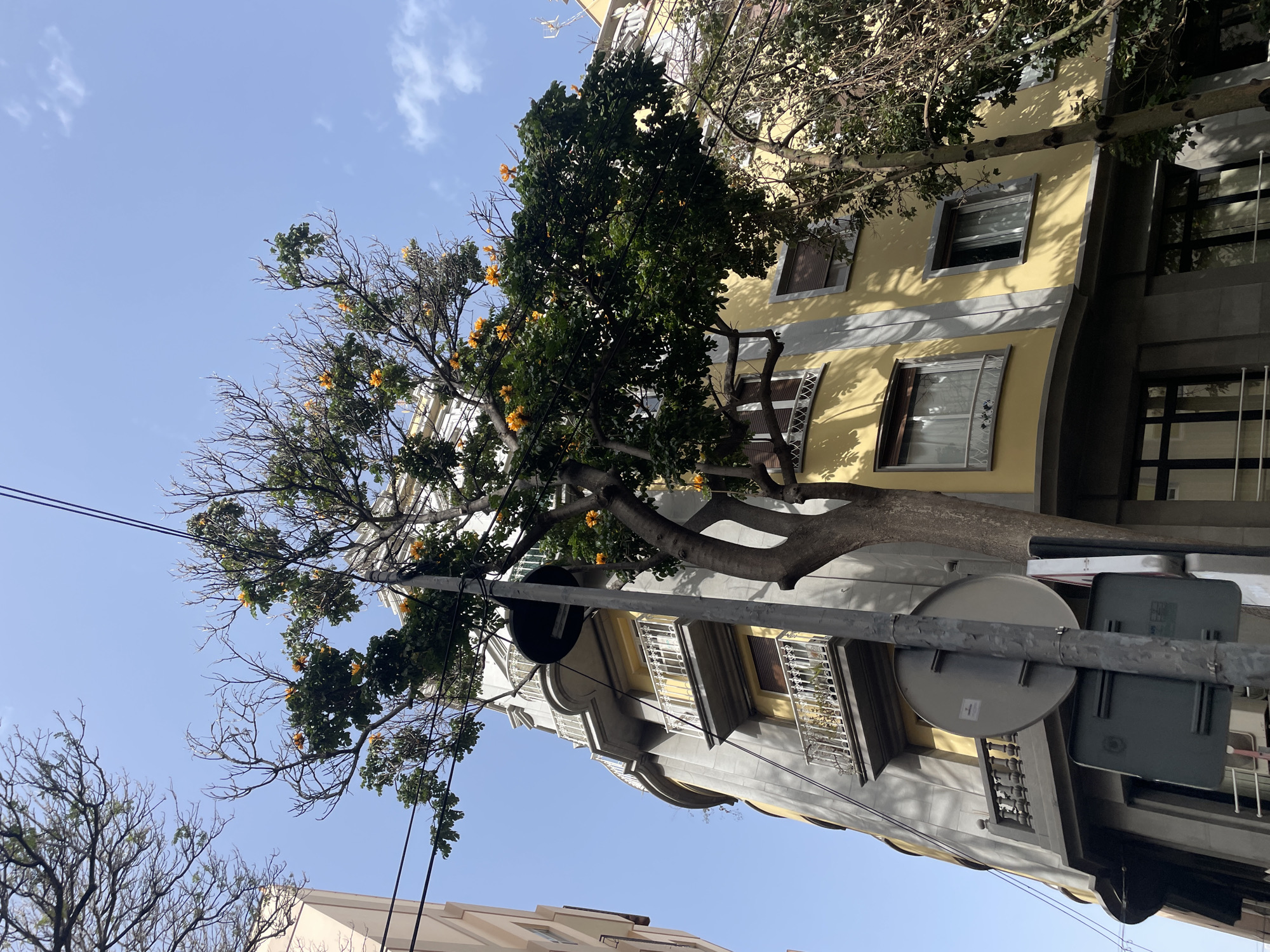 The image is taken in Santa Cruz De Tenerife, Spain, looking upwards at an intersection of buildings and trees. The building on the right is a multi-story structure with a yellow and gray facade, featuring windows with white decorative grilles and curved balconies. A tree with some green leaves and orange flowers partially obscures the building, its trunk extending horizontally. A gray metal pole stands in the foreground, supporting a round traffic sign. Telephone or electrical wires stretch across the top-left portion of the frame. The sky is blue with scattered white clouds. Another building is visible on the bottom-left.