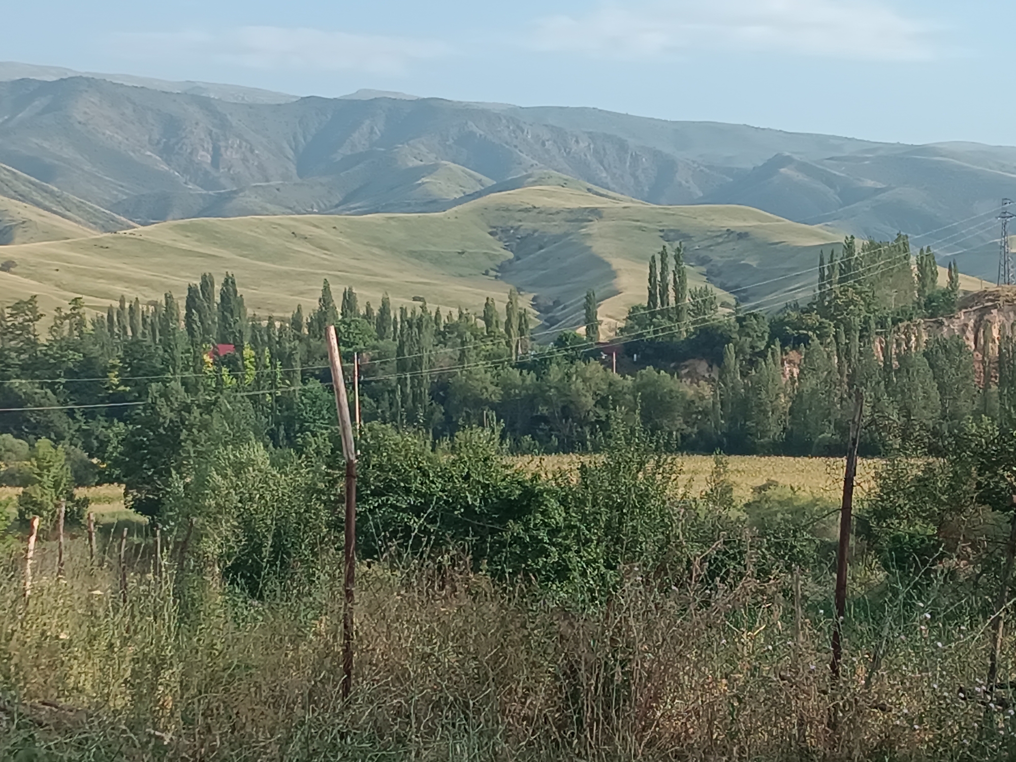 The image shows a rural landscape with rolling hills in the background. In the mid-ground, there is a line of tall, slender trees that appear to be poplars, with some denser foliage and bushes in front of them. A small red-roofed structure is partially visible amongst the trees. The foreground is filled with dry, tall grasses and a rough fence made of wooden posts and wire. A power line pole and wires are visible on the right side of the image, cutting across the tree line and the hills. The sky is a pale blue with some very light clouds. The overall scene suggests a somewhat arid, hilly region. This scene is likely located in or around the village of Mukur, Kyrgyzstan, given its typical landscape. There are no people or animals clearly visible in the image.