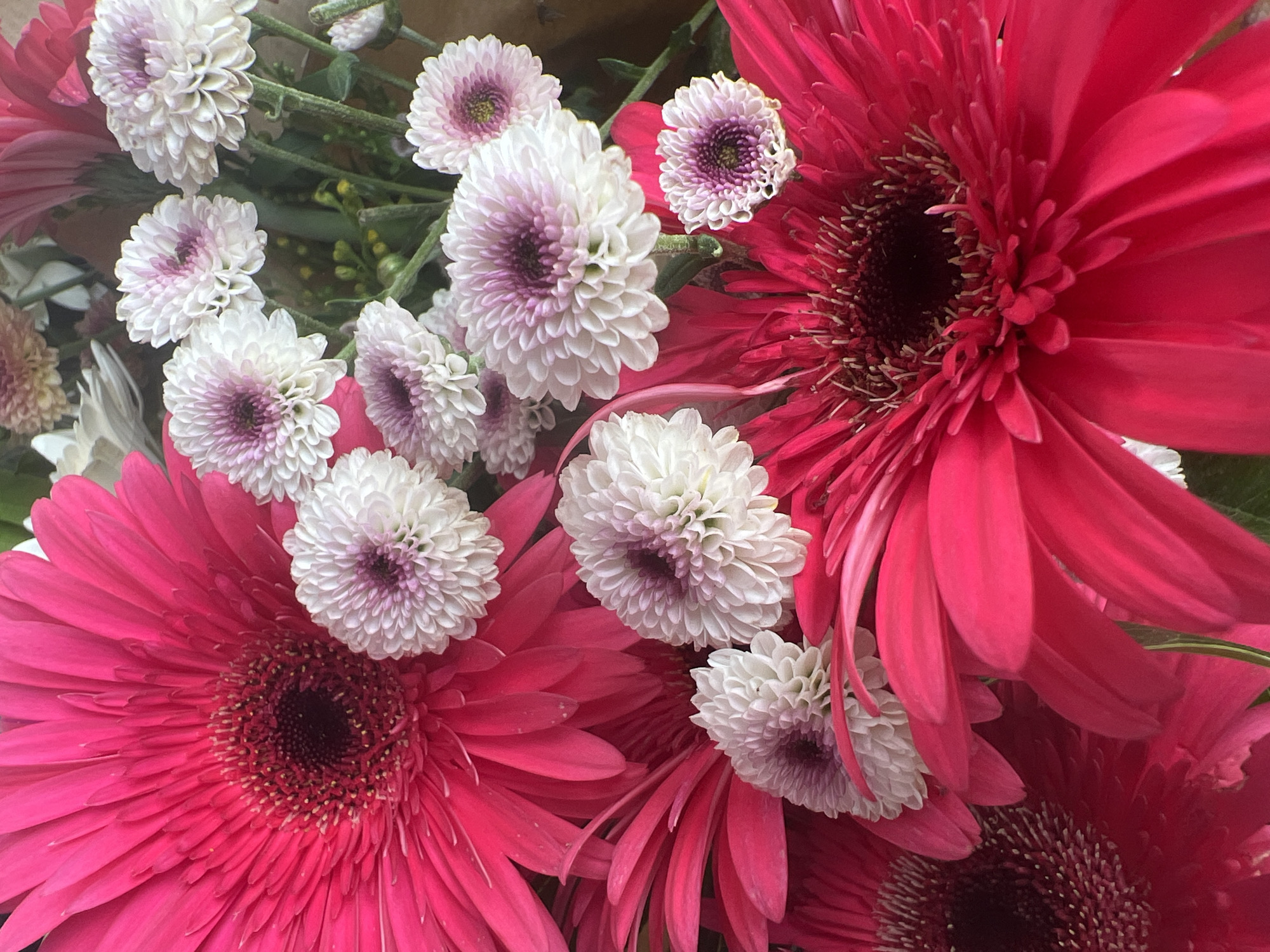 This is a close-up, overhead shot of a floral arrangement of pink gerbera daisies and small white chrysanthemums with pink centers. The flowers are vibrant and in focus, with a shallow depth of field that blurs the background. The arrangement appears to be indoors, possibly in a home or flower shop, and no specific location in Hadera, Israel can be identified from the image. The lighting is natural and bright, highlighting the textures and colors of the petals. There are no people or animals present in the image.