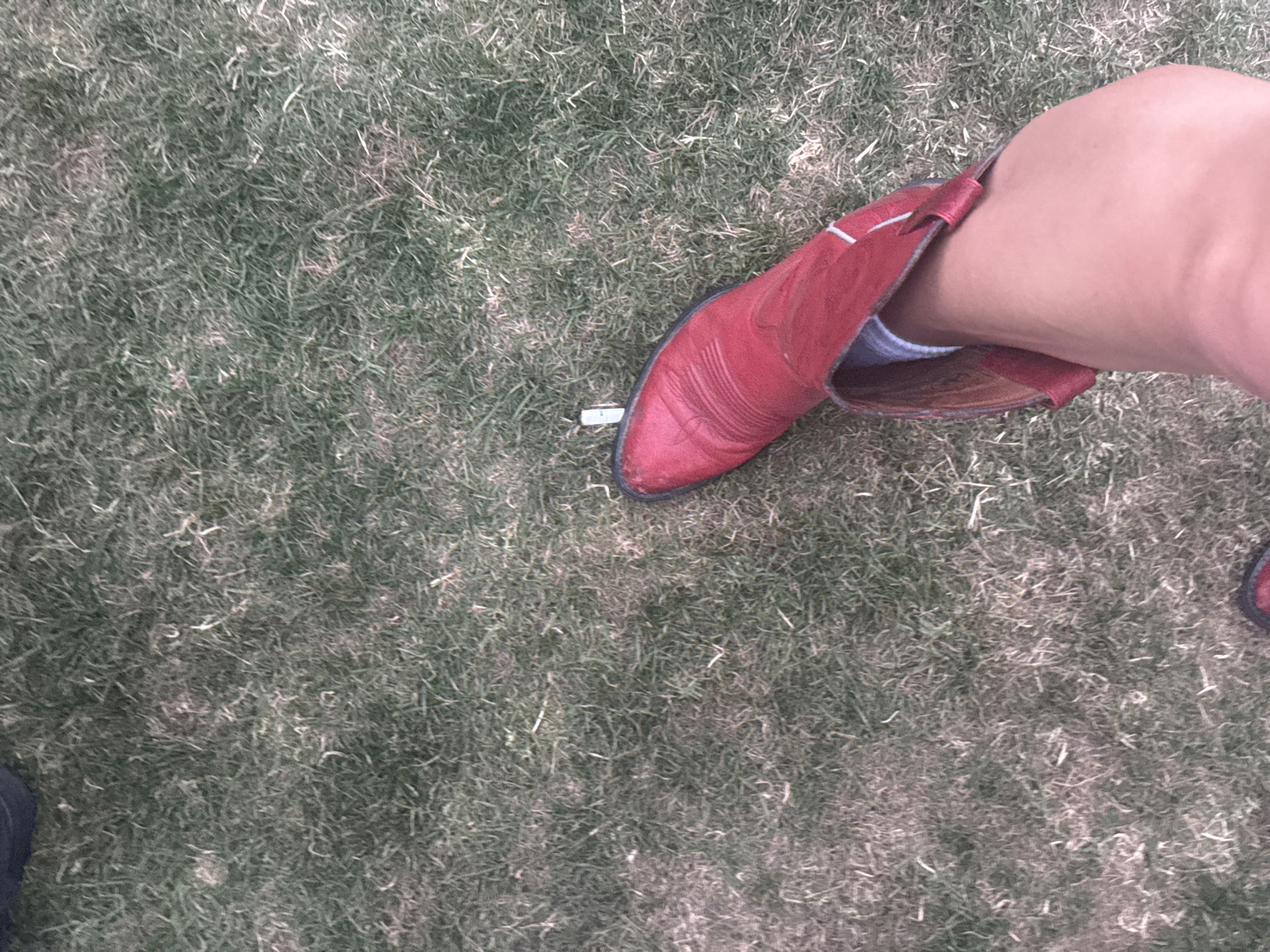 A low-angle, outdoor shot on grass shows a red leather cowboy boot partially on a foot. The boot appears to be stuck on an object or the ground. The scene is potentially located in La Quinta, United States of America.