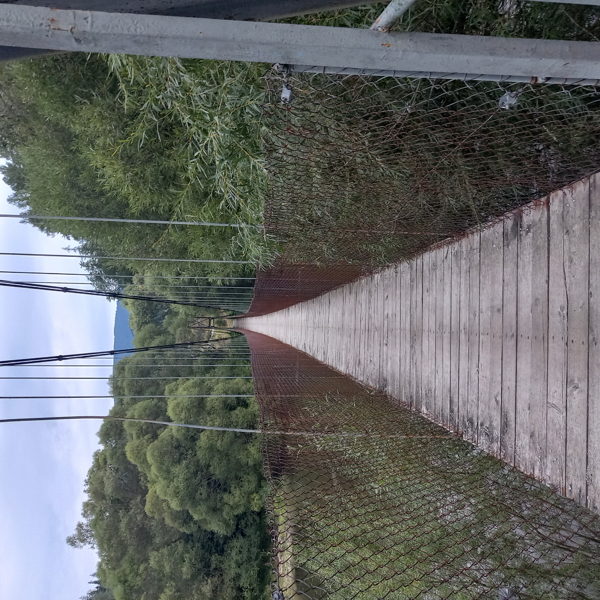 The image shows a wooden footbridge spanning a body of water, flanked by dense green foliage and trees. The bridge has wire mesh railings that appear rusty and worn. The sky is overcast. In the distance, a mountainous landscape is visible. The scene is a pedestrian suspension bridge, likely located in a natural or park setting. The bridge appears to lead towards a mountainous region. The specific location in Dolný Kubín, Slovakia, cannot be confirmed from the image alone, as no identifying landmarks are present.