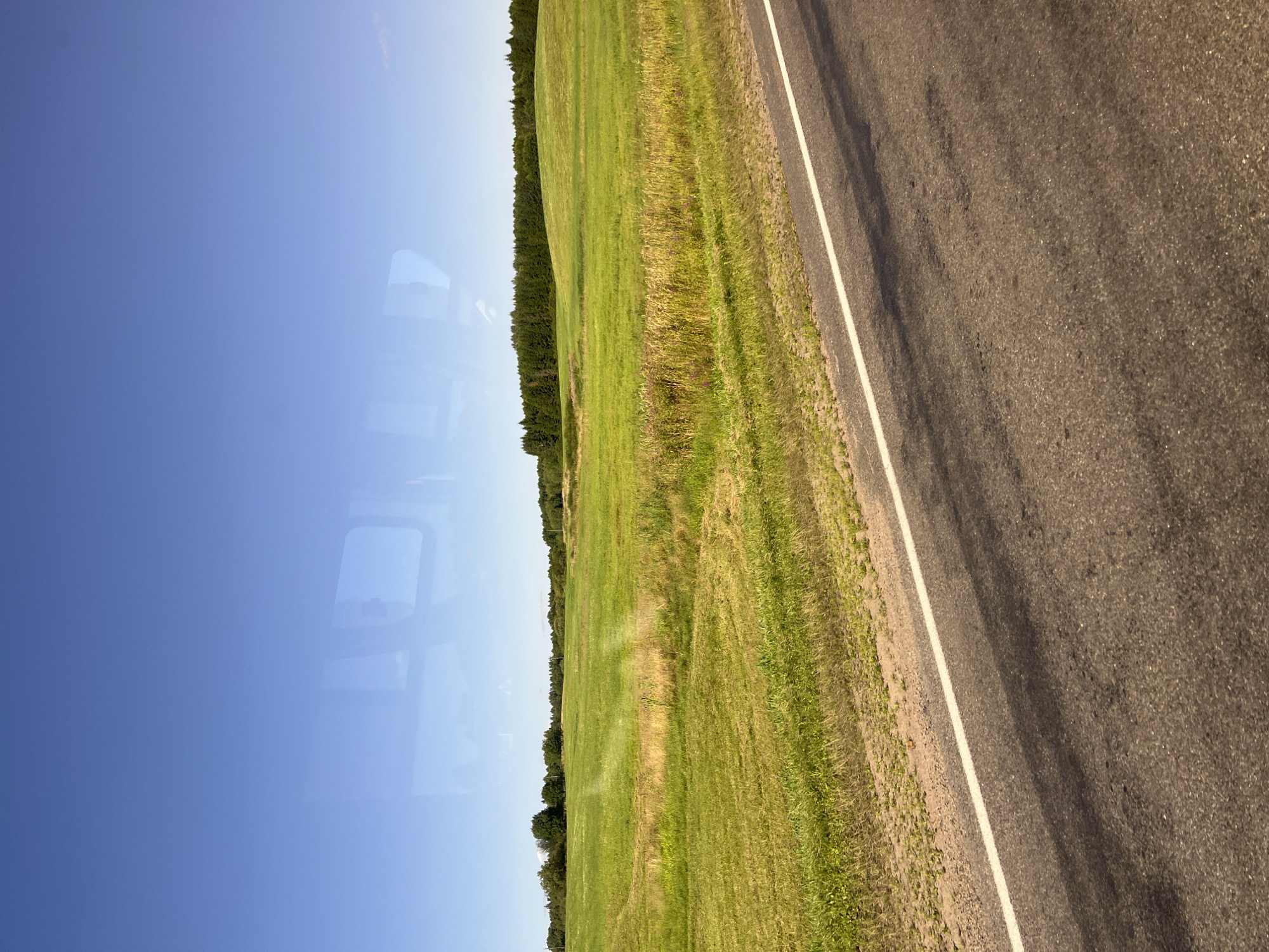 The image depicts a rural landscape with a road in the foreground and a grassy field stretching towards a treeline in the background, under a clear blue sky. The road is asphalt with a white dividing line and shadows are cast across it. The field is predominantly green, with patches of drier, golden grass and some scattered wildflowers. A line of dense, dark green trees forms the horizon. The scene appears to be captured from a moving vehicle, as evidenced by the reflections on the glass in the upper portion of the image. The location is identified as Myadzyel, Belarus, suggesting a countryside setting outside of the main town. There are no people or specific activities visible, only the natural environment and infrastructure.
