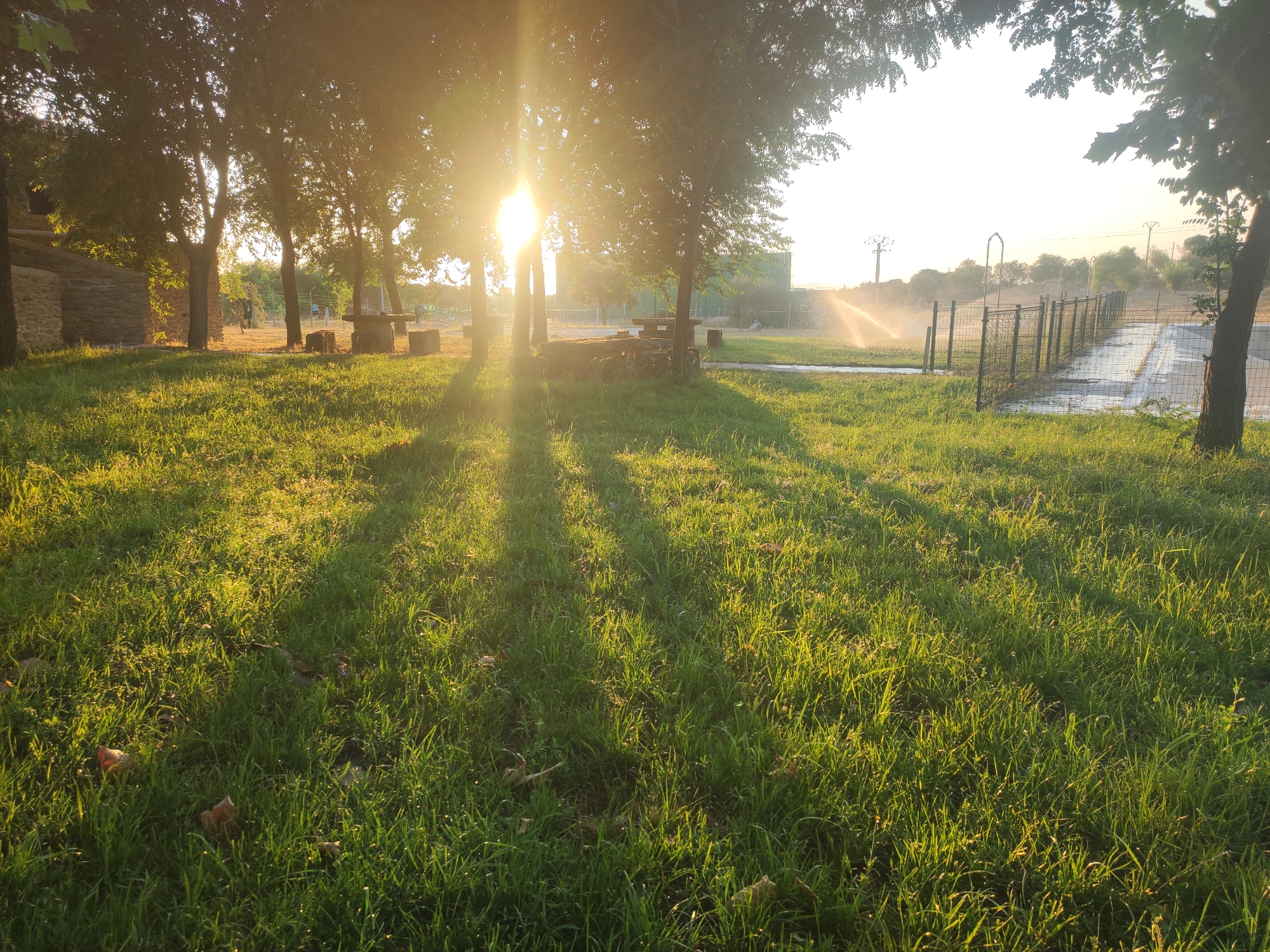 The image depicts a sunlit park area in Sobradillo, Spain, likely during the late afternoon or early morning due to the low angle of the sun and long shadows cast. The foreground is dominated by a lush green lawn with scattered fallen leaves. In the middle ground, several trees with dense foliage are visible, with sunlight streaming through their branches, creating a dappled effect on the grass. Two stone picnic tables with accompanying benches are present among the trees. Beyond the trees, a metal fence encloses a pathway or road, and a sprinkler is actively watering a patch of grass to the right of the frame, creating a fine mist. In the background, a building with stone construction is partially visible on the left, and further in the distance, power lines and trees suggest a semi-rural or parkland setting within the town. The overall atmosphere is tranquil and bathed in warm, golden light.
