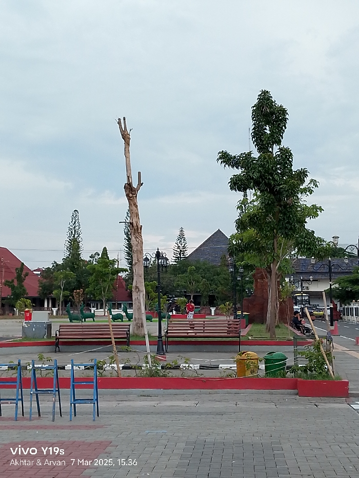 The image shows a view of a public space in Indramayu, Indonesia, located at coordinates -6.326 latitude and 108.323 longitude. The scene is dominated by a large, bare, dead tree, reaching towards a cloudy sky. To the right, a healthy, green tree stands tall. In the background, the silhouette of a roofed structure is visible, along with a row of palm trees lining the street. Two wooden benches are positioned in the foreground, facing the dead tree. A red brick wall surrounds the space, along with a red and white curb and a red and black striped border. Two blue metal construction sawhorses stand near the front edge of the image. Two trash cans, one yellow and one green, sit on the sidewalk next to the red brick wall. On the right side of the image, a small group of people are sitting on the ground, seemingly engaged in conversation. In the distance, two people are walking along the street.