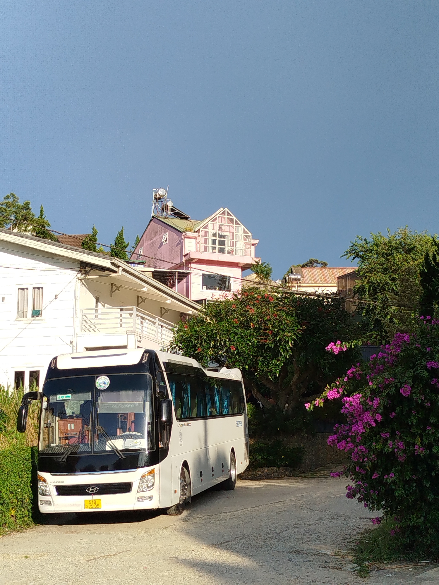 In the city of Da Lat, Vietnam, a white bus with black accents is parked on a paved, somewhat cracked road. The bus has a license plate reading "51B 275.95" and displays the text "UNIVERSE" on its front. A driver is visible inside the bus. To the left of the bus, a white building with a balcony and several windows is situated. Behind the bus and the white building, a pink, multi-story house with a distinctive glass-paneled upper section is visible. The background features lush green trees, including a prominent bush with vibrant purple flowers in the foreground on the right. The sky above is a clear, light blue. The scene appears to be set in a residential or hotel area, characteristic of Da Lat's hilly terrain and European-influenced architecture.