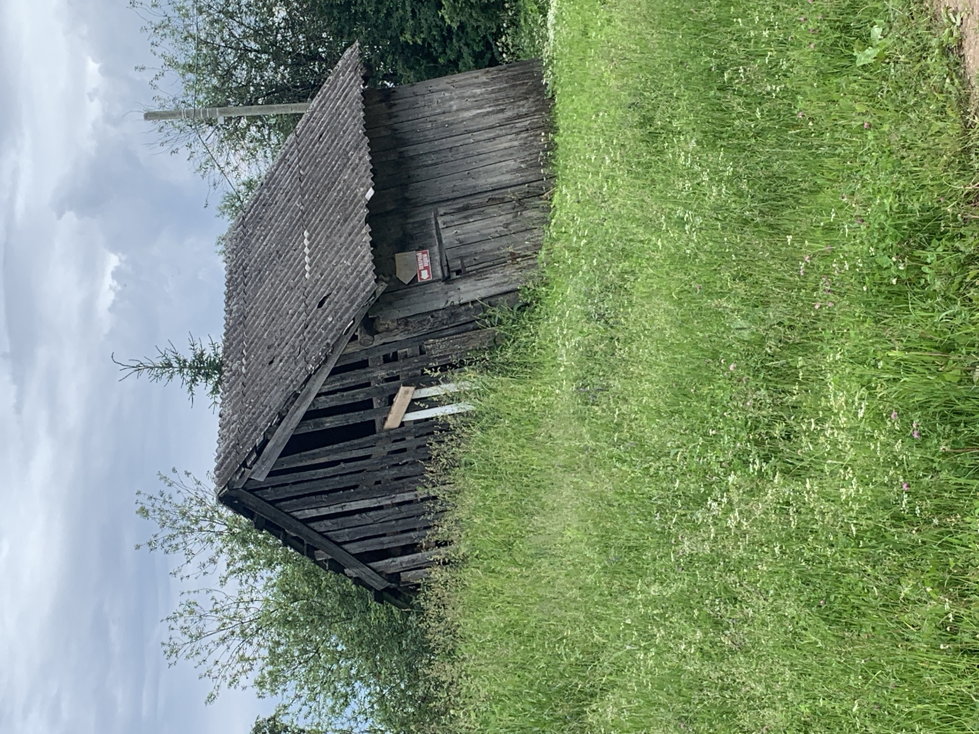 An aged, dilapidated wooden shed stands tilted precariously to the right, its dark weathered planks and corrugated roof in disrepair. The structure is partially obscured by tall, lush green grass and wildflowers that reach up to its base. Behind the shed, trees and foliage create a natural backdrop under a cloudy sky. A small, red sign with white text and an arrow is affixed to the side of the shed, indicating a direction. The overall scene suggests a rural or neglected setting, likely in the outskirts of a settlement like Barsai, Russia.