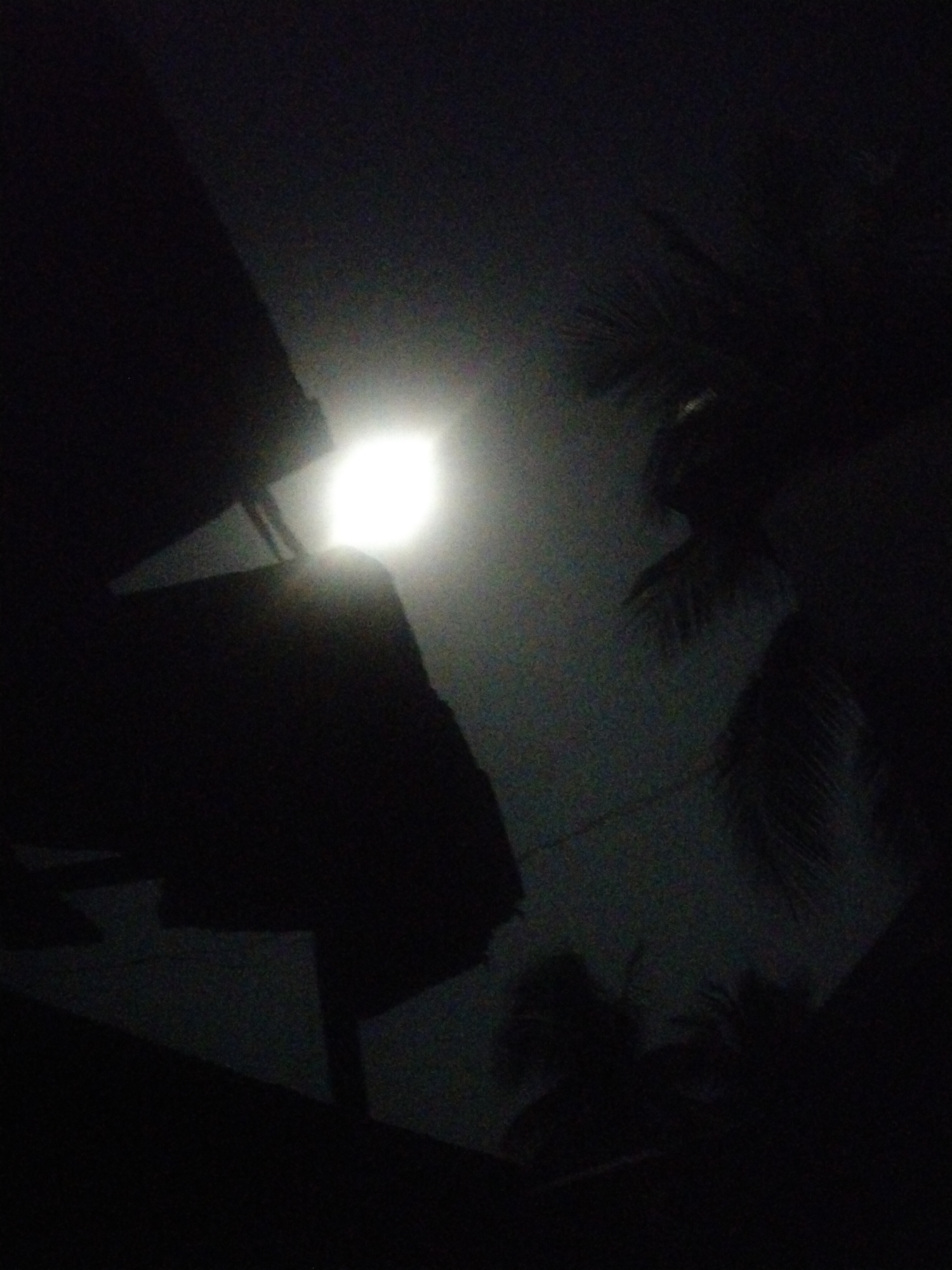 The image presents a night scene in Uyo, Nigeria, characterized by strong contrasts between dark shadows and a bright light source, likely a street lamp or the moon. In the foreground, silhouetted shapes of what appear to be a building's roof and supporting structures dominate the view. Palm tree fronds are visible in the background. The image is underexposed, making details difficult to discern. There are no visible people, interactions, or actions in the scene. The environment suggests an urban or semi-urban setting with vegetation.