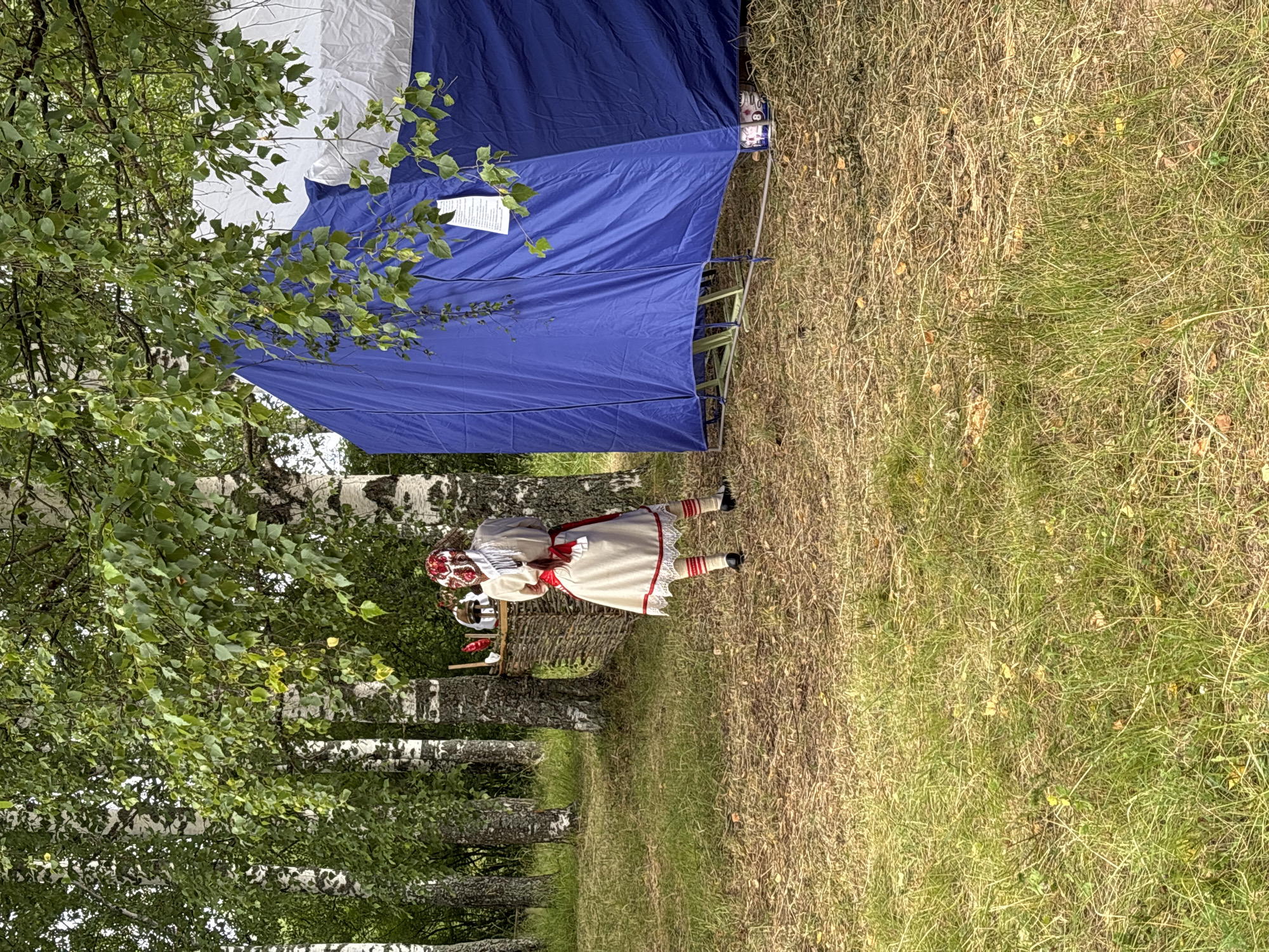 In a birch forest clearing in Siberia, Russia, a person dressed in traditional folk attire stands facing a woven wicker display. The attire consists of a light-colored dress with red trim and white lace at the hem, red and white striped stockings, and a red and white headscarf. They are positioned near a large, blue tent. The ground is covered with dry grass and leaves, with patches of greener grass. The birch trees have distinctive white and black bark. The display in front of the person holds various objects, including what appear to be red feather quills and helmets or other metal headwear. A white and blue tarp is visible on the right side of the image, part of or attached to the blue tent. The overall scene suggests an outdoor cultural event or festival.