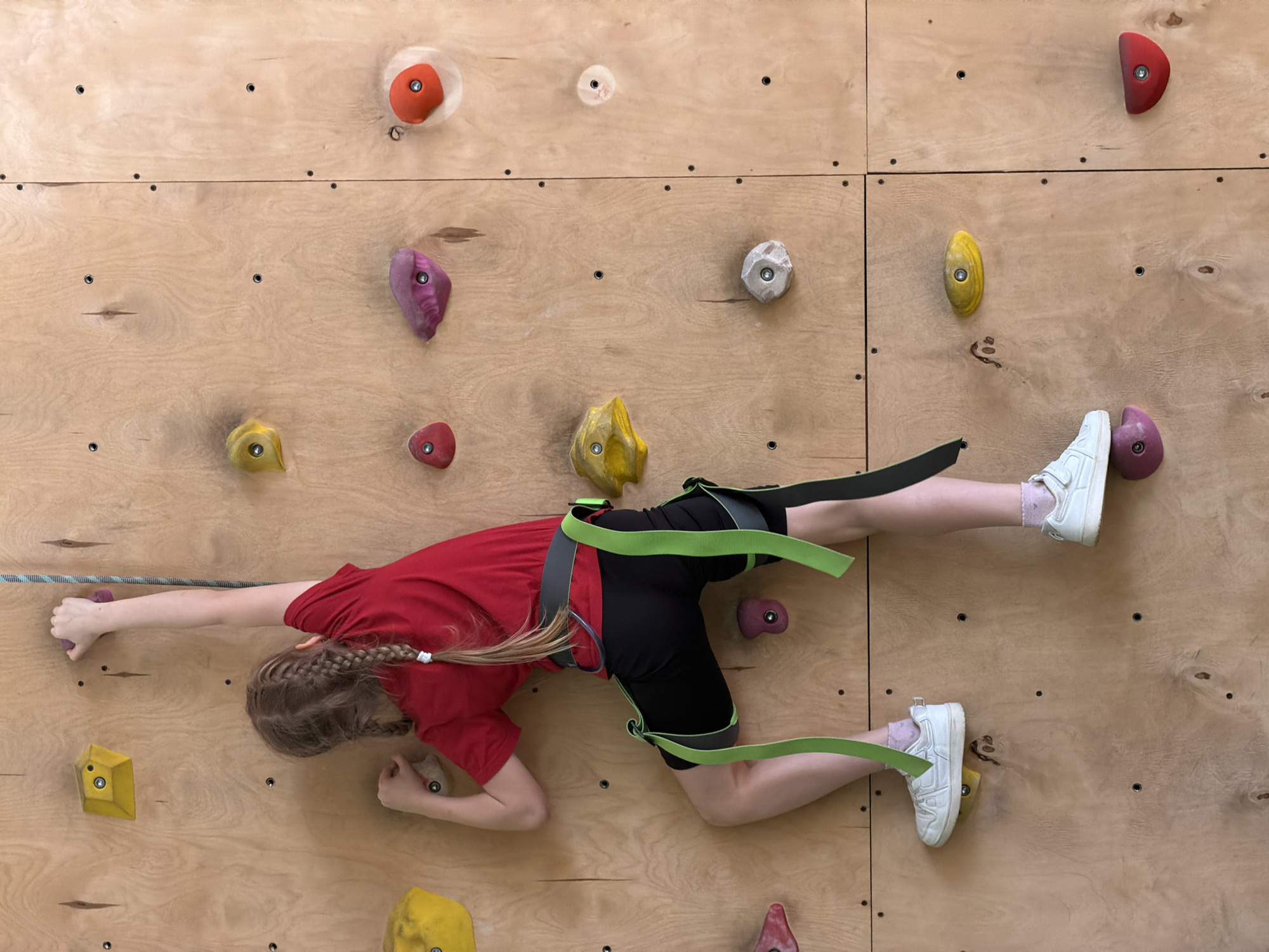 An overhead shot captures a young person actively engaged in rock climbing on an indoor wall, likely in Izhevsk, Russia. The climber, positioned horizontally across the light-colored plywood panels of the wall, wears a red short-sleeved t-shirt, black athletic shorts, and a bright green and black climbing harness. Their long, light brown hair is styled in a braid.
The climbing wall is constructed from multiple plywood panels, visibly secured with screws, and features numerous colorful climbing holds of various shapes and sizes in shades of red, orange, purple, yellow, and grey. The young person's body is stretched, demonstrating their interaction with the holds. Their left arm extends to grasp a small purple hold on the far left, while their right hand is positioned on a yellow hold lower down. Both feet are placed on holds, with white sneakers visible; one shoe rests on a yellow hold, and the other is near a purple hold. A segment of a blue and white climbing rope is visible along the left edge of the frame. The image emphasizes the physical effort and concentration required for the activity within this indoor setting. No text is visible in the media.