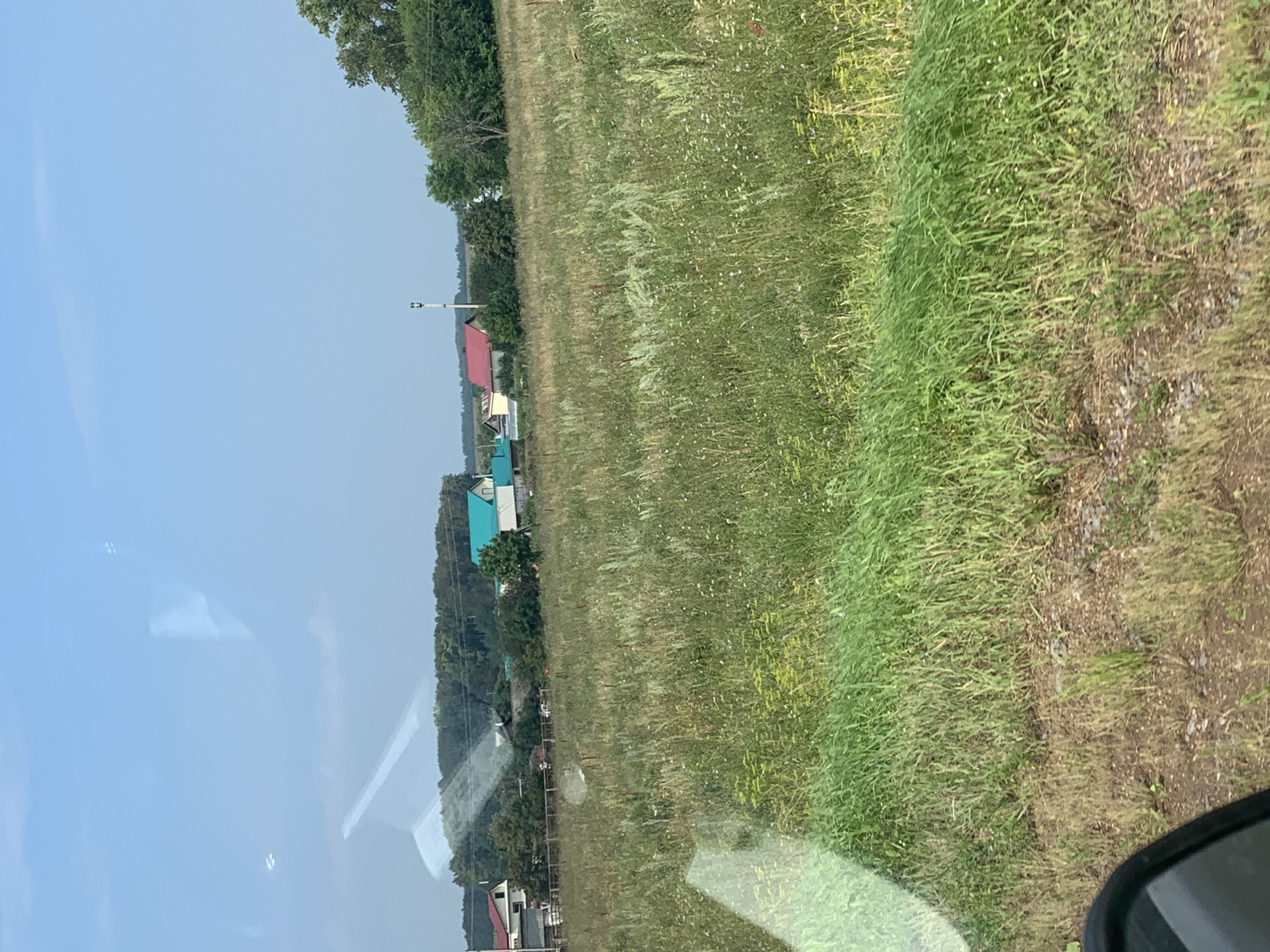 The image displays a landscape scene, likely in a rural area. In the foreground, a dense field of tall green grass and wildflowers stretches across the frame. The terrain appears slightly uneven with patches of dry earth and sparse vegetation. In the mid-ground, a line of trees forms a natural border, behind which several houses with various roof colors, including red and turquoise, are visible. A tall, slender tower stands near one of the houses. The background is dominated by a clear, pale blue sky with faint reflections, possibly from a window or vehicle. The overall impression is that of a sunny day in a peaceful countryside setting.