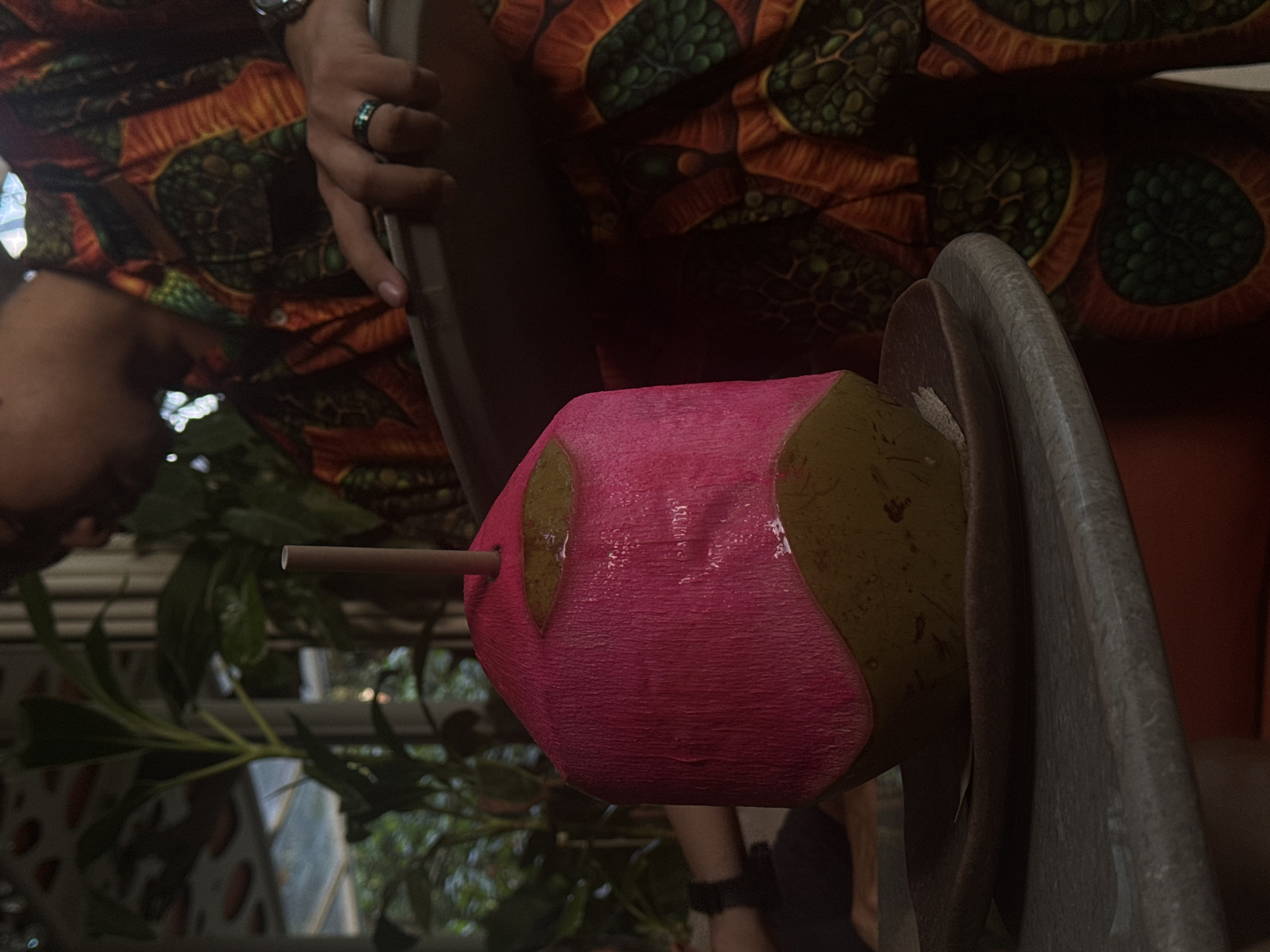 The image shows a person holding a coconut that has been painted pink, with a straw inserted into it. The coconut is held within a metallic structure, possibly for display or stability. The person is wearing clothing with an orange and green pattern. In the background, foliage is visible, suggesting an outdoor or semi-outdoor setting. Based on the information provided, this image was captured in North Kuta, Indonesia.