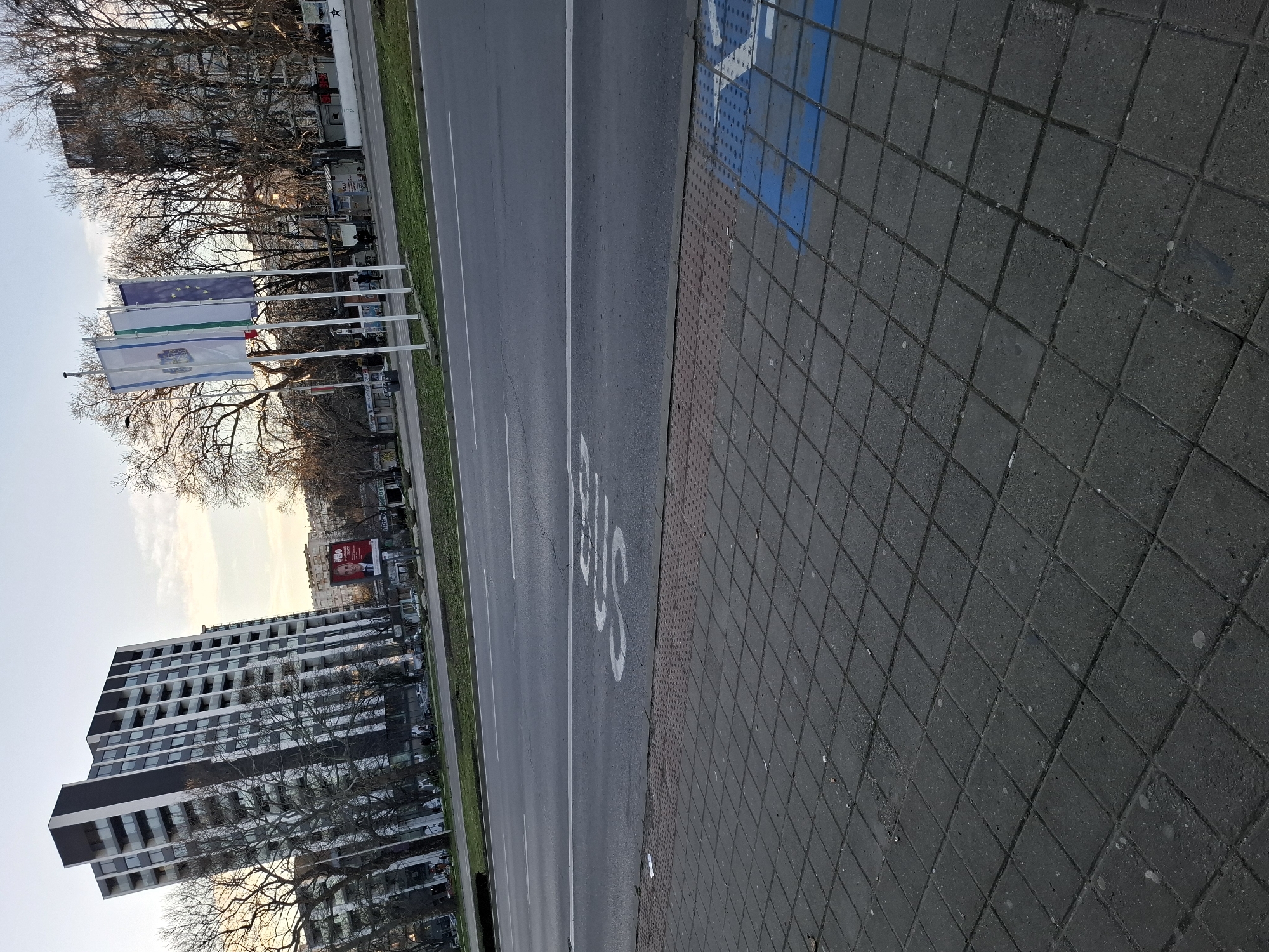 The image shows a street scene in Varna, Bulgaria. The road has multiple lanes and a designated bicycle lane marked with a white bicycle symbol. A section of the road has a blue square marking, possibly for accessible parking. Adjacent to the road is a sidewalk paved with gray square stones. Along the road, there are several flagpoles flying different flags, including what appears to be the European Union flag. On one side of the road, there is a row of trees and a modern multi-story building. On the other side, there is grass and a building with a large advertisement billboard. The sky is visible in the distance, with a hint of sunset or sunrise.