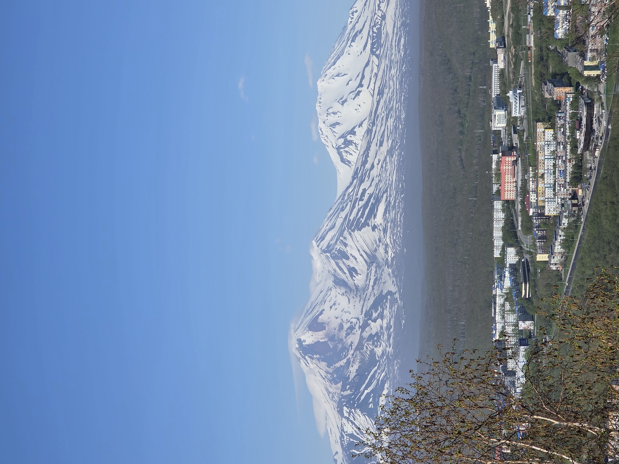 The image depicts a panoramic view of a city nestled at the base of snow-capped volcanoes under a clear blue sky. In the foreground, a tree with bare branches and developing buds is visible on the left. The midground reveals a residential area with a cluster of multi-story buildings, characterized by colorful facades and a variety of architectural styles. Roads with light traffic wind through the city. Beyond the city, a dense forest of dark green trees stretches across the landscape. The background is dominated by majestic snow-covered mountains, with one prominent volcano showing a reddish-brown area near its summit, possibly indicating volcanic activity or rock exposure. Wisps of clouds drift around the mountain peaks. The overall scene suggests a temperate climate in a region with significant volcanic geography and urban development.