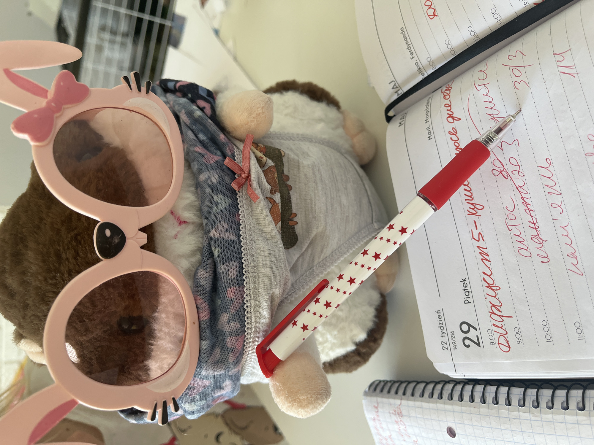 The image shows a cluttered desk with a stuffed animal wearing pink bunny sunglasses. The stuffed animal is also wearing a gray shirt and a patterned scarf. A red and white star-patterned pen rests on top of the animal and a calendar page dated May 29, 2022, is visible next to the pen. Handwritten notes in red ink are on the calendar page. A spiral notebook lies beneath the calendar. The environment suggests a home or personal office setting.
