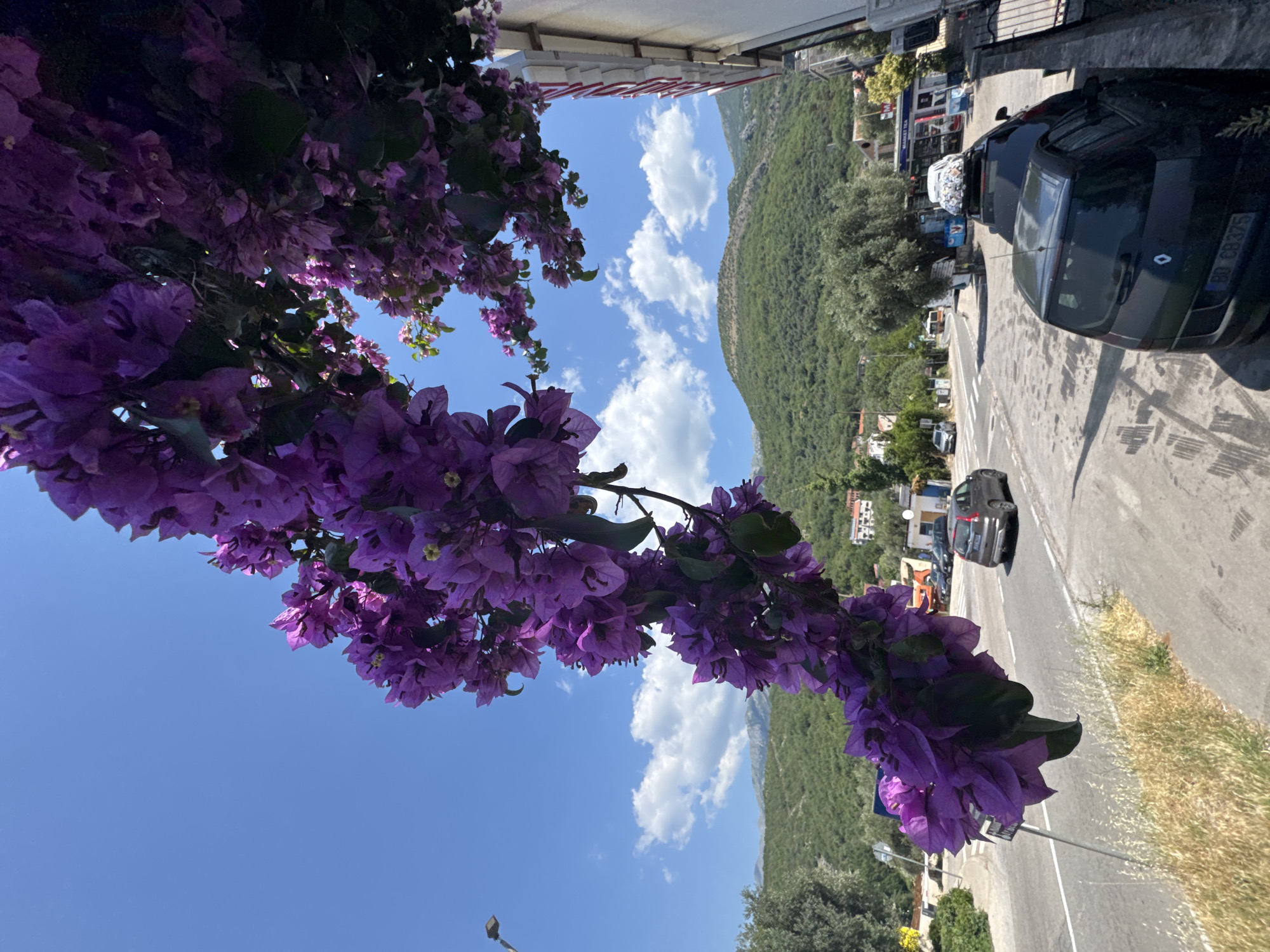 The image depicts a street scene in Trap, Montenegro, with a focus on a branch of vibrant purple bougainvillea flowers in the foreground. The flowers cascade down from the upper right of the frame, obscuring a portion of the sky and a building. Beyond the flowers, a two-lane asphalt road runs horizontally across the middle ground, with a white line marking the center. Several cars are visible on the road and parked along the side. A silver SUV is in motion on the road, and a black hatchback is parked on the right side of the frame. In the background, lush green hills rise, topped with a clear blue sky dotted with white cumulus clouds. A streetlamp is visible on the left side of the road. The overall impression is a sunny day in a coastal town.