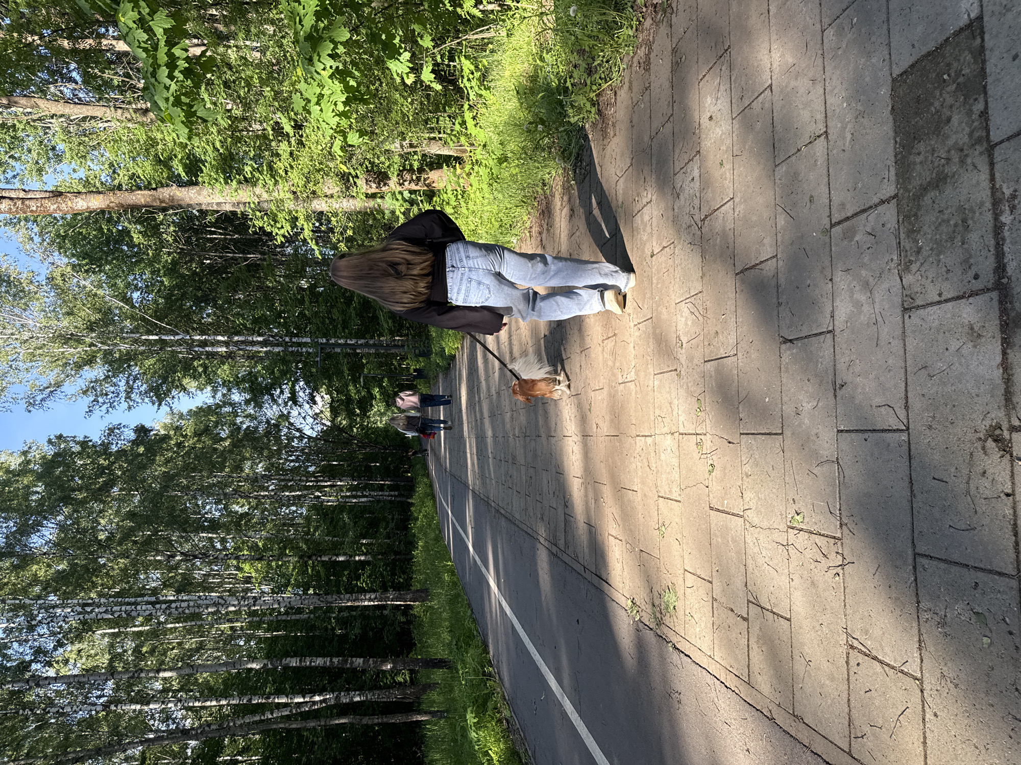 A woman is walking a small dog on a paved path in a park. The path is lined with trees on both sides. The woman is wearing a dark jacket and light-colored jeans. The dog is small and brown. Two people are walking in the distance. The location is Veliky Novgorod, Russia.