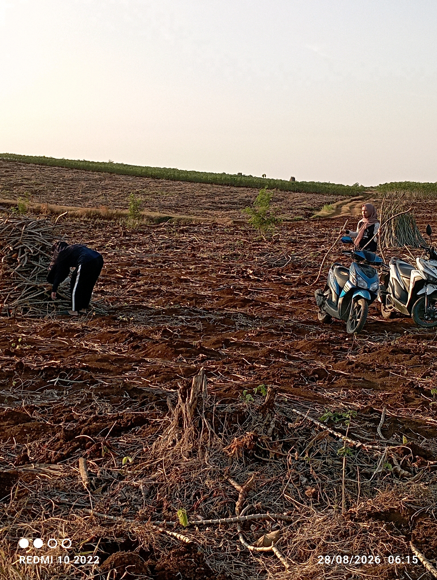 In the image, taken in the city of Gandik, Indonesia, a vast agricultural field is depicted with dry, brown soil and scattered dry vegetation. In the foreground, a person wearing a black outfit with white stripes is bent over, seemingly engaged in agricultural work, perhaps collecting debris or planting. To the right, two motorcycles are parked, a blue one in front and a white one behind. A person wearing a headscarf and a jacket is seated on the blue motorcycle. The background shows a gentle slope with green vegetation on the horizon, under a pale sky. The image is dated "REDMI 10 2022" and "28/08/2026 06:15".