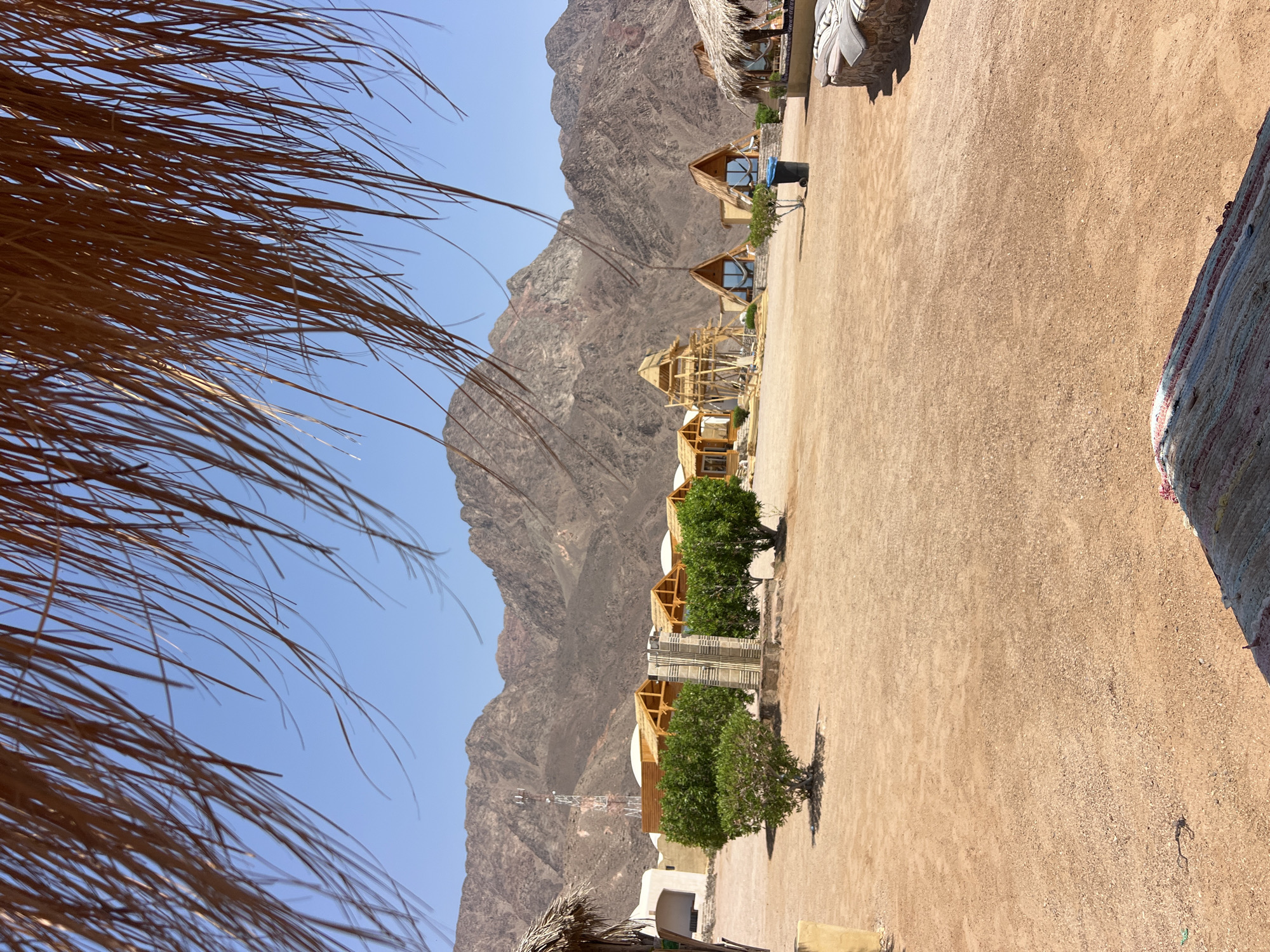 A wide shot captures a sun-drenched, arid landscape in Nueiba, Egypt, with a collection of rustic wooden cabins and structures. In the foreground, dried palm fronds hang from above, partially obscuring a clear blue sky and the rugged, tan-colored mountains in the background. The ground is a mix of sand and gravel, dotted with small green bushes and a few trees. Several A-frame cabins with thatched roofs are visible, some appearing newly constructed or undergoing finishing touches with wooden scaffolding. A white and red communication tower stands tall to the left of the cabins. A stone-built bench with cushions is situated on the right side of the frame, and a woven rug lies in the lower right corner, suggesting a place of relaxation. The overall scene evokes a sense of remote desert living or a desert resort.