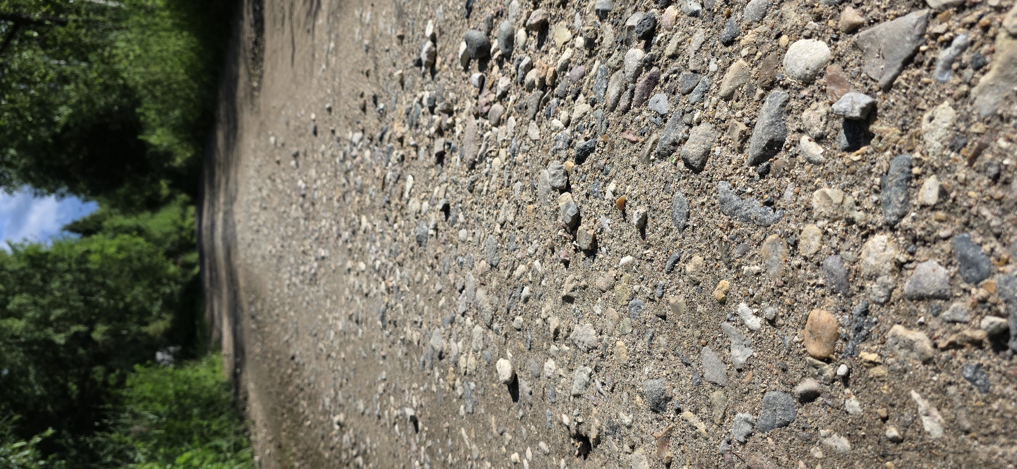 This is a low-angle, ground-level shot of a dirt and gravel road winding through a wooded area. The road is covered in small stones and sand, with larger rocks scattered throughout. The foreground is sharply focused on the textured road surface, while the background of the road and the surrounding trees are progressively blurred, creating a sense of depth. The trees are lush and green, suggesting a summer or late spring setting. The sky is visible through the trees in the distance, with hints of clouds. The scene appears to be in a rural or semi-rural environment, possibly a nature trail or a less-maintained road. There are no people or vehicles visible in the image. The light suggests it is daytime, likely with the sun shining through the trees, casting some shadows on the road. The overall impression is one of natural, undisturbed scenery.