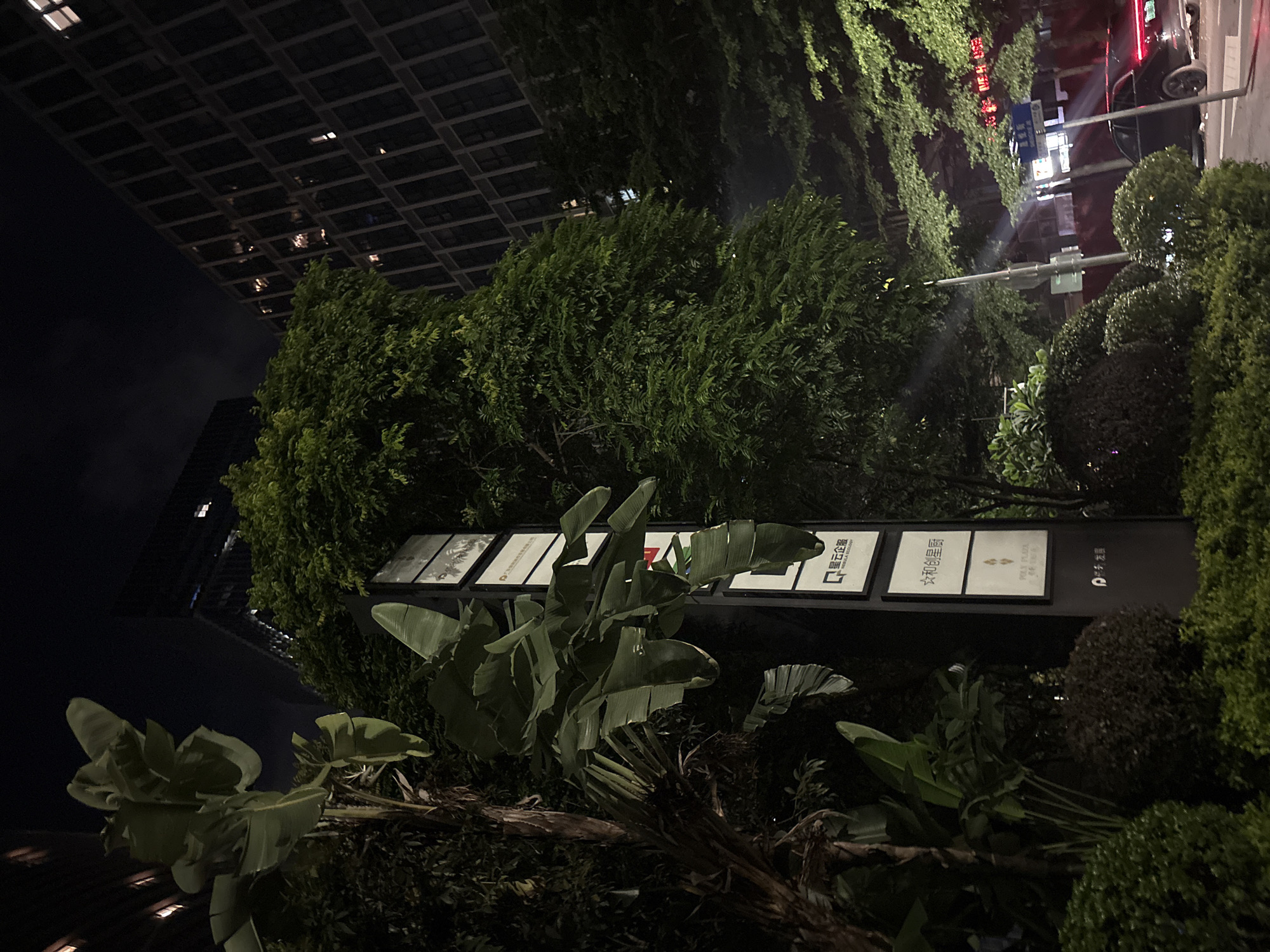 The image depicts an outdoor scene at night, likely in an urban setting. A modern building with a grid-like facade and illuminated windows rises in the background, suggesting it's a tall structure. Lush green foliage, including large tropical-looking leaves and manicured bushes, dominates the foreground and midground. A tall, dark signpost with multiple illuminated panels stands among the plants, displaying text in Chinese characters. One panel shows the text "星云金服" (Xingyun Jinfu), another "星和创星师" (Xinghe Chuangxing Shi), and a third "POLY PLAZA" with Chinese text below. The last visible panel has a parking symbol and the text "停车资讯" (Tingche Zixun). A street or road is visible to the right, with a car's taillights glowing red, indicating passing traffic. The overall impression is one of a well-maintained, possibly commercial or residential area with significant landscaping, viewed at night. The lighting suggests it is artificial illumination from the building, sign, and streetlights. There are no people visible in the image.