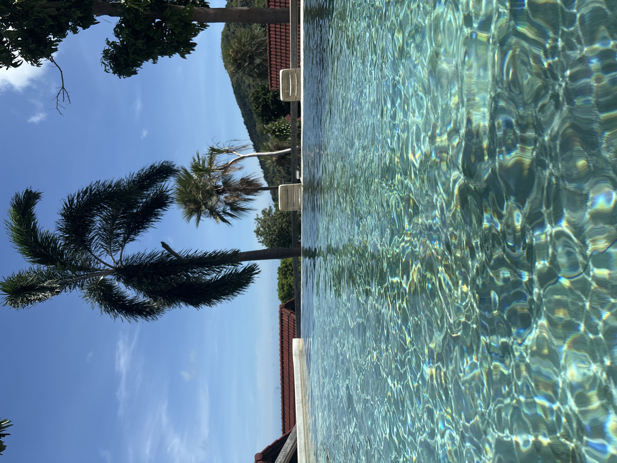 The image captures a tranquil scene, likely in or near the city of บ้านบางรักษ์, Thailand, given the presence of tropical foliage and architectural elements reminiscent of the region. The dominant feature is a shimmering swimming pool, its turquoise water reflecting the bright sunlight in intricate patterns. The pool's edge is visible, adjacent to what appears to be a tiled terrace, topped with reddish-brown roofing tiles. Beyond the terrace, a variety of trees, including palm trees, punctuate the sky against a backdrop of a clear, blue sky with scattered clouds. Two white poolside chairs can be seen. The image appears to have been rotated.