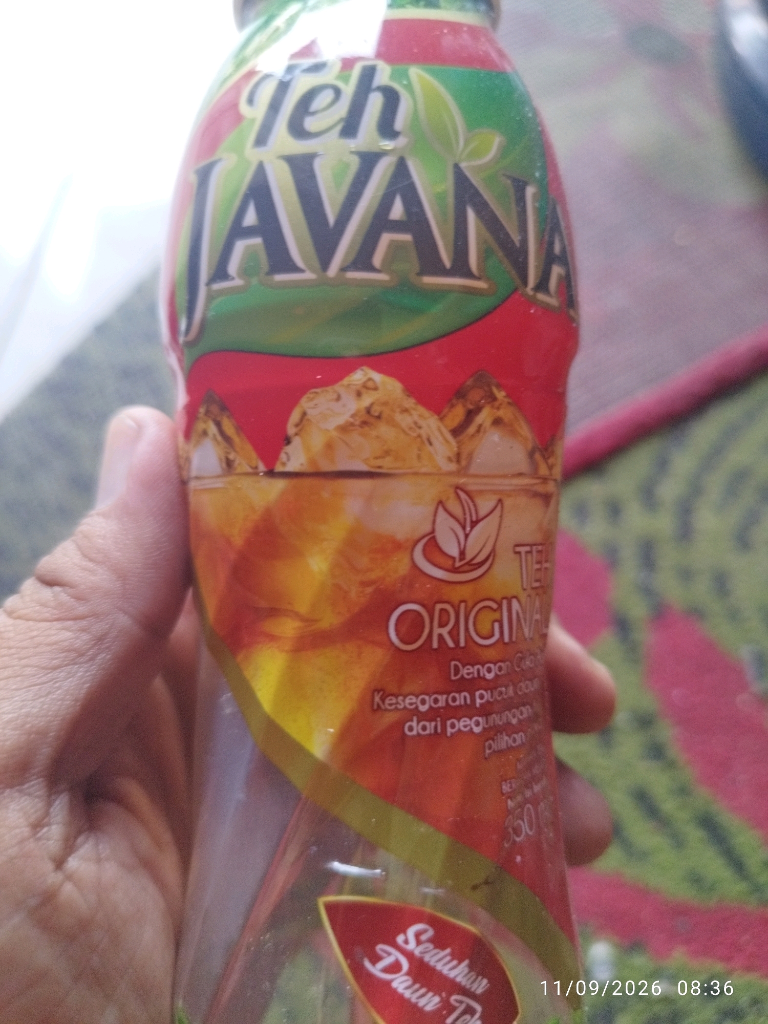 A close-up shot shows a hand holding a bottle of "Teh Javana" original iced tea. The label is predominantly red with green accents and features an image of ice cubes and tea. The text "Teh Javana" is prominently displayed in a stylized font. Below this, smaller text reads "ORIGINAL". Further down, there is text in Indonesian that translates to "Freshness of tea leaves from selected mountains." The bottom of the bottle has a red seal with the text "Seduhan Daun Teh" meaning "Brewed Tea Leaves". A timestamp in the bottom right corner reads "11/09/2026 08:36". The background is blurred and appears to be an indoor setting with a patterned surface, possibly a rug or blanket. The image is likely taken in Mojokerto, Indonesia, as indicated by the product's origin and the language used on the label.