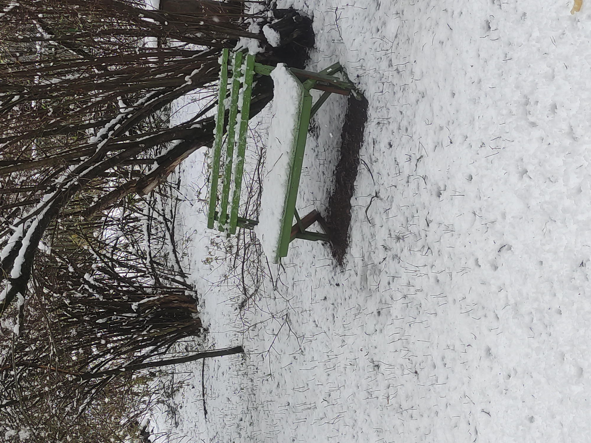This image captures a tranquil winter scene in Kratovo, Russia, dominated by snow-covered natural elements. The central focus is a rustic green wooden bench, positioned in a slightly right-of-center angle. Its seat and backrest are heavily blanketed with fresh white snow, suggesting recent snowfall.
To the left and extending upwards, a dense mass of bare, dark brown tree branches and twigs fills the frame, also adorned with patches of white snow resting on their surfaces. The ground is entirely covered in a thick layer of undisturbed white snow. Scattered across the snowy ground, particularly on the right side and foreground, are numerous thin, dark plant stems or blades of grass poking through the snow. A dark, somewhat muddy or exposed patch of earth is visible directly beneath and behind the bench, suggesting where snow might have melted or been disturbed.
The lighting indicates daytime, likely an overcast winter day, which contributes to the soft, diffused appearance of the snow. The scene is devoid of people or any specific activity, conveying a sense of stillness and quiet solitude. No text is visible in the image.