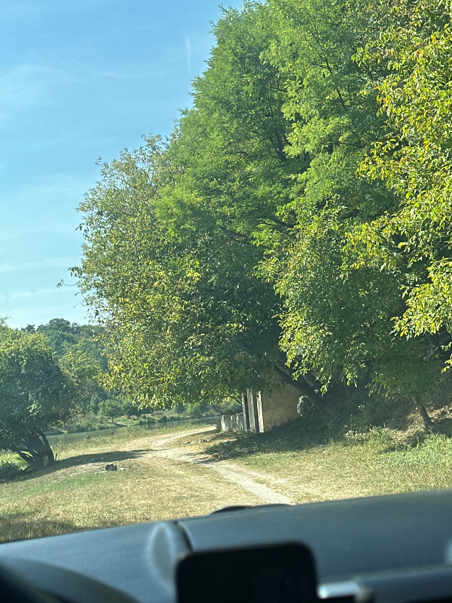 This is a horizontal, medium-shot, eye-level, outdoor photograph taken from a vehicle. The scene depicts a dirt road curving through a rural, wooded area under a clear blue sky. The road is flanked by dry grass and a dense canopy of green trees, with sunlight filtering through the leaves. Partially visible on the right side of the road is a small, weathered stone structure, possibly a shed or ruin, partially overgrown with vegetation. In the distance, a body of water, likely a river or lake, is visible, bordered by more trees and rolling hills. The foreground is dominated by the dark dashboard of the vehicle from which the photo was taken, with a portion of a black electronic device visible on the right. The overall impression is one of a remote, natural setting. The location is the city of Shatava, Ukraine.