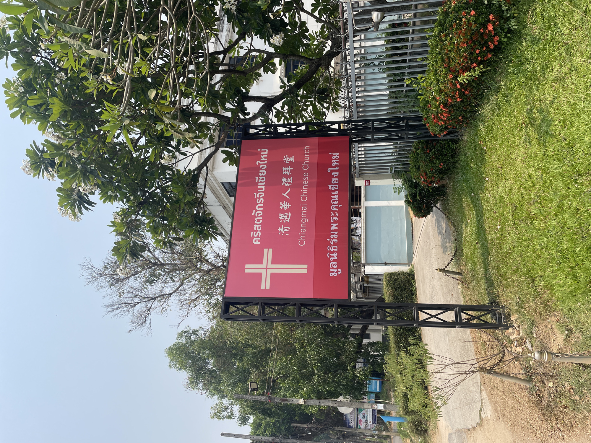 The image captures an outdoor scene in Chiang Mai, Thailand, featuring the entrance area of a church on a bright, sunny day. The central subject is a large, rectangular red sign mounted on a black metal frame. The sign displays a prominent white cross and text in three languages. In Thai, it reads "คริสตจักรจีนเชียงใหม่" (Chiang Mai Chinese Church) and "มูลนิธิร่มพระคุณเชียงใหม่" (Chiang Mai Grace Foundation). The Chinese characters "清邁華人禮拜堂" also translate to Chiang Mai Chinese Church, which is confirmed by the English text "Chiangmai Chinese Church" visible on the sign.
Behind the sign, a white building, presumably the church, is partially visible. The foreground and sides are filled with abundant greenery, including trees with white flowers, lush green grass, and bushes adorned with small red flowers. A metal fence borders the property on the right, and a paved pathway runs alongside the sign. The sky is clear and bright blue, indicating good weather. A small white plate with the numbers "352/25" is visible on a post near the fence. There are no people visible in the image, and no specific activities are taking place; the scene depicts a static view of the church's entryway.