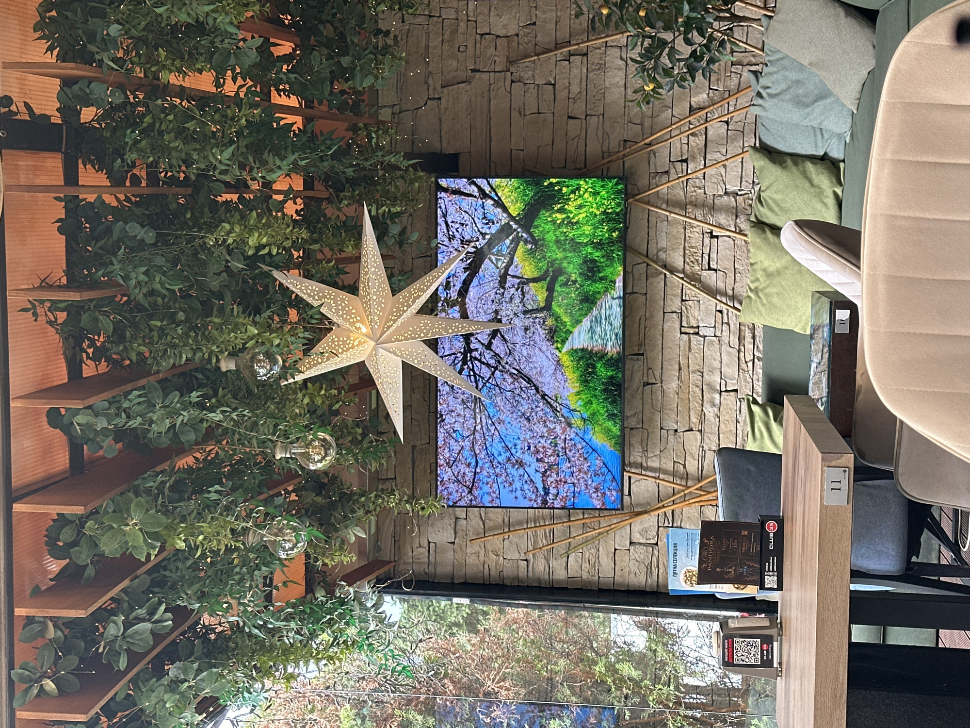 The image captures a restaurant or cafe interior, possibly in Sofia, Bulgaria, characterized by a rustic yet modern design. Overhead, a wooden structure is adorned with lush green artificial hanging plants and small, clear light bulbs, creating a whimsical canopy. A prominent white star-shaped lamp hangs centrally. The wall behind is constructed from large, irregular stone blocks, adding a natural texture to the space.
Dominating the wall is a large flat-screen television displaying a vibrant image of a path lined with blooming cherry trees and green grass, under a bright blue sky. Several thin, light-colored wooden poles are arranged diagonally against the stone wall, acting as decorative elements.
In the foreground, a wooden table with a dark metal frame is set up, suggesting a dining or seating area. On the table, there's a QR code stand, a menu, and a small black box with the "CLUB 35" logo. Adjacent to the table, a green sofa is visible, furnished with several light green and blue-green cushions. Another beige upholstered chair is partially visible in the lower right corner.
To the left of the table, a large window offers a view of trees with brown and green foliage, hinting at an outdoor setting or a very large window. A small potted plant with yellow fruits, likely a citrus tree, is placed on the right side of the sofa. The overall ambiance is one of relaxed, contemporary dining with a touch of natural and artistic elements.