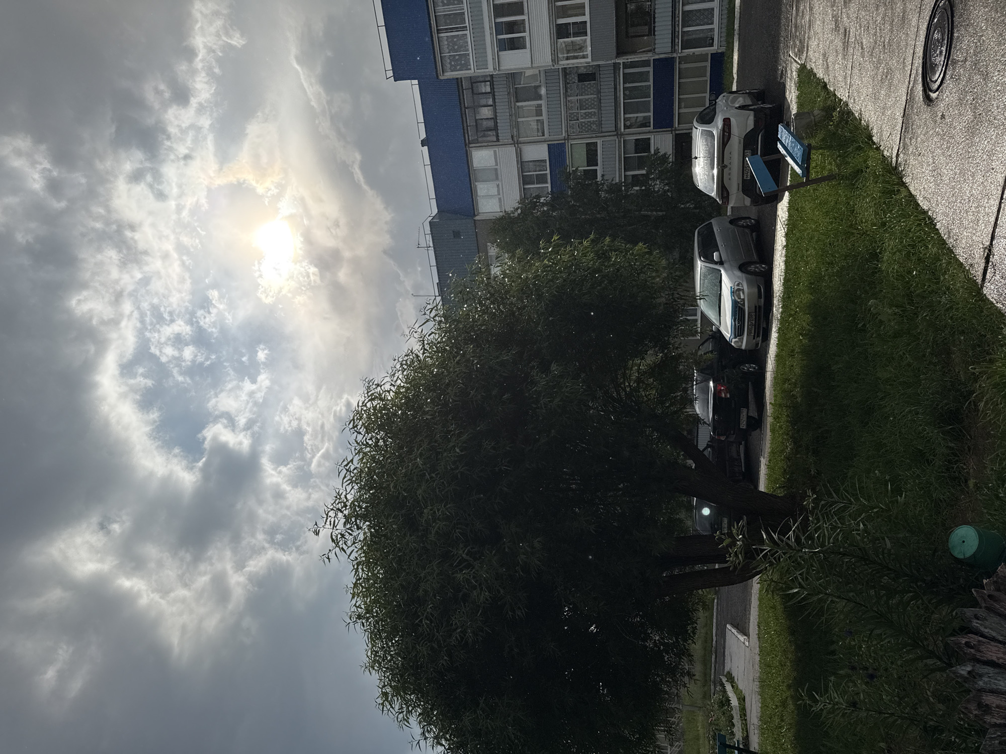 This image depicts an overcast sky with the sun shining through partially obscuring clouds, casting a bright, diffused light. In the foreground, a large, leafy tree with a thick trunk dominates the left side of the frame. To the right, a multi-story apartment building with blue and gray siding and numerous windows is visible. Several cars are parked in front of the building, including a silver minivan and a white sedan. A blue park bench is situated on a paved area near the building, and patches of green grass and some low-lying plants are present. The scene appears to be a residential area in the city of Марковский, Russia, likely a courtyard or parking area.